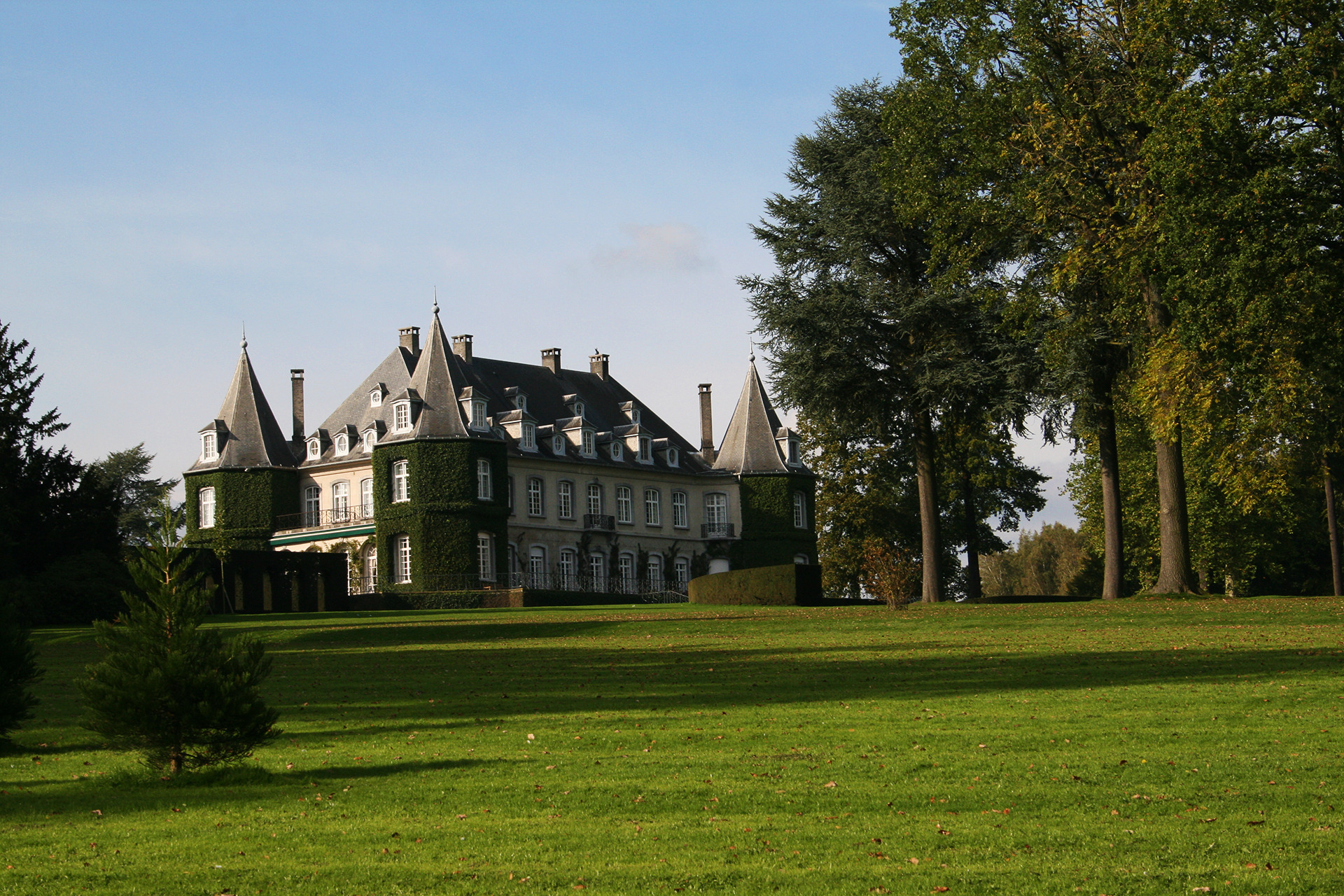 solvay, супер, domna