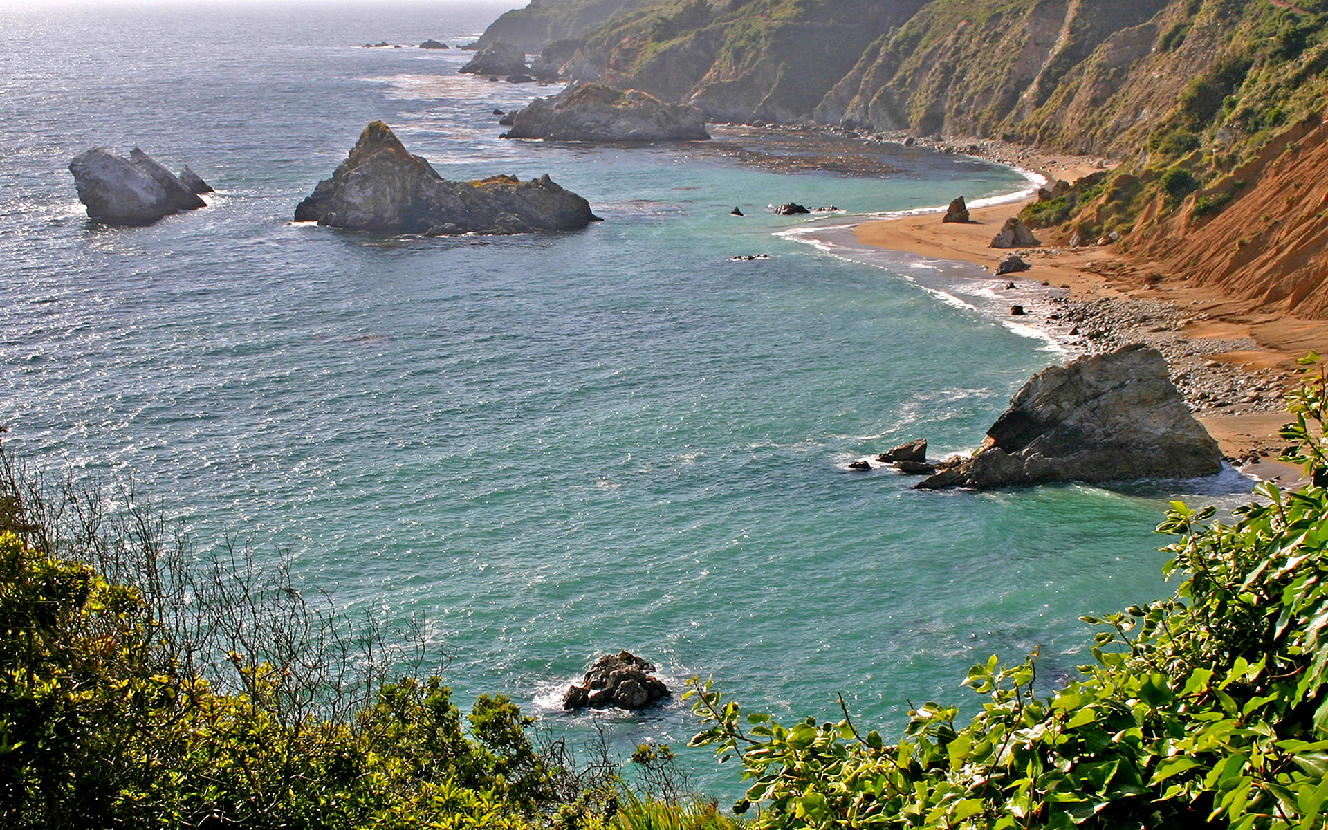 море, море, деревья