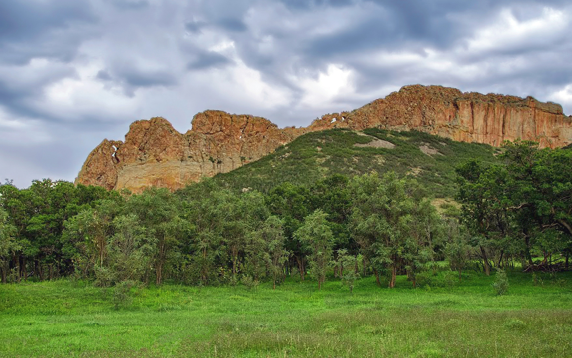 есть лошадь, которая стоит в траве перед горой