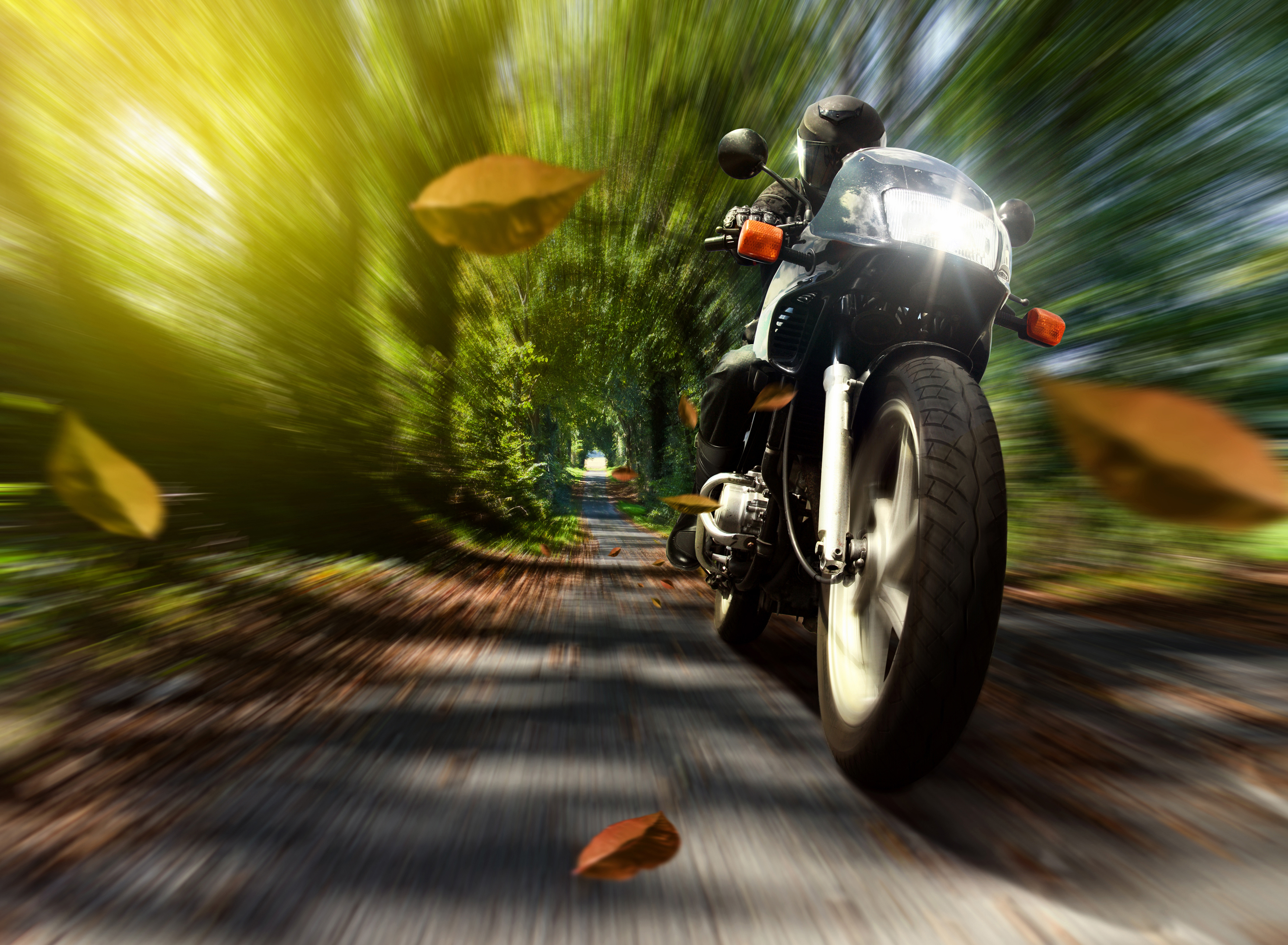 мотоциклист мотоцикл трасса скорость бесплатно