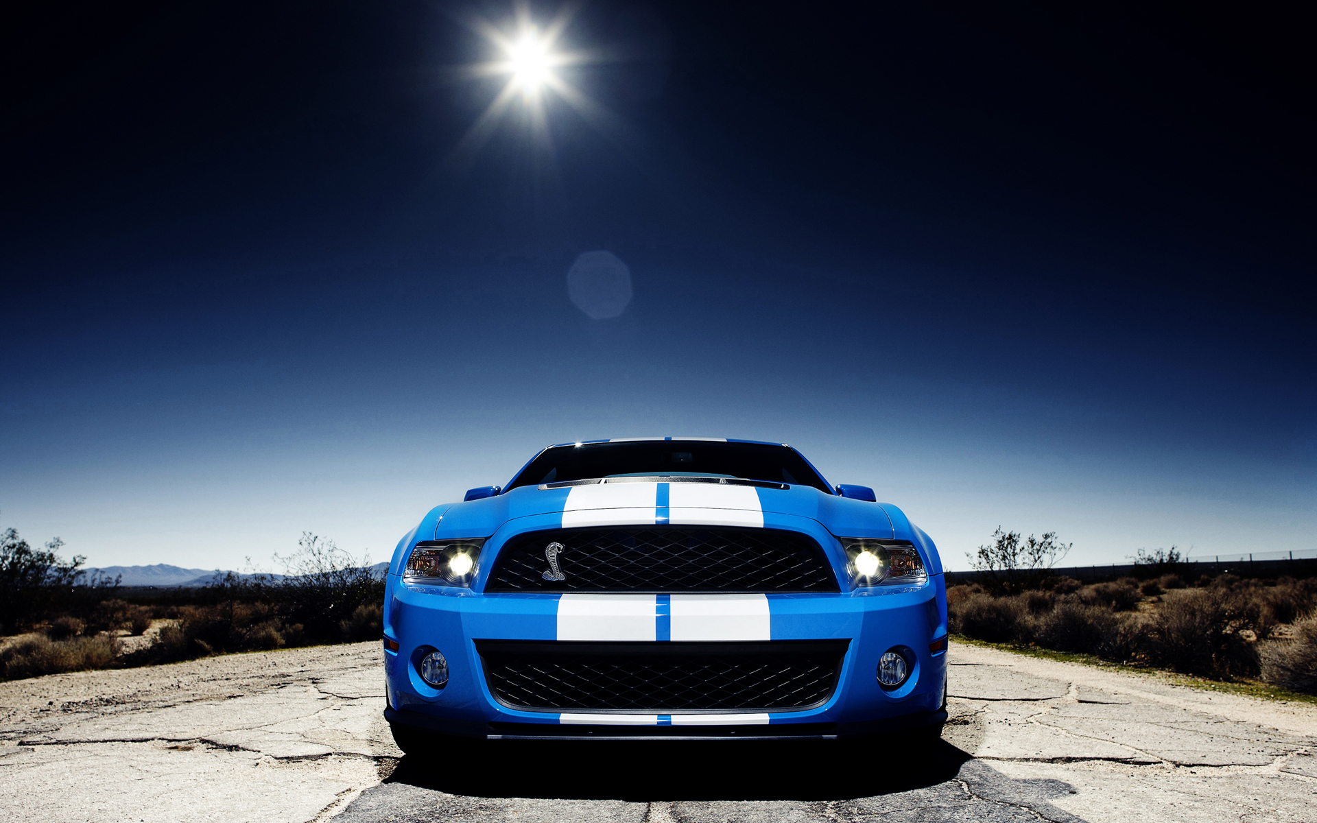 mustang, ford, shelby No 56262 Разрешение 1920x1200