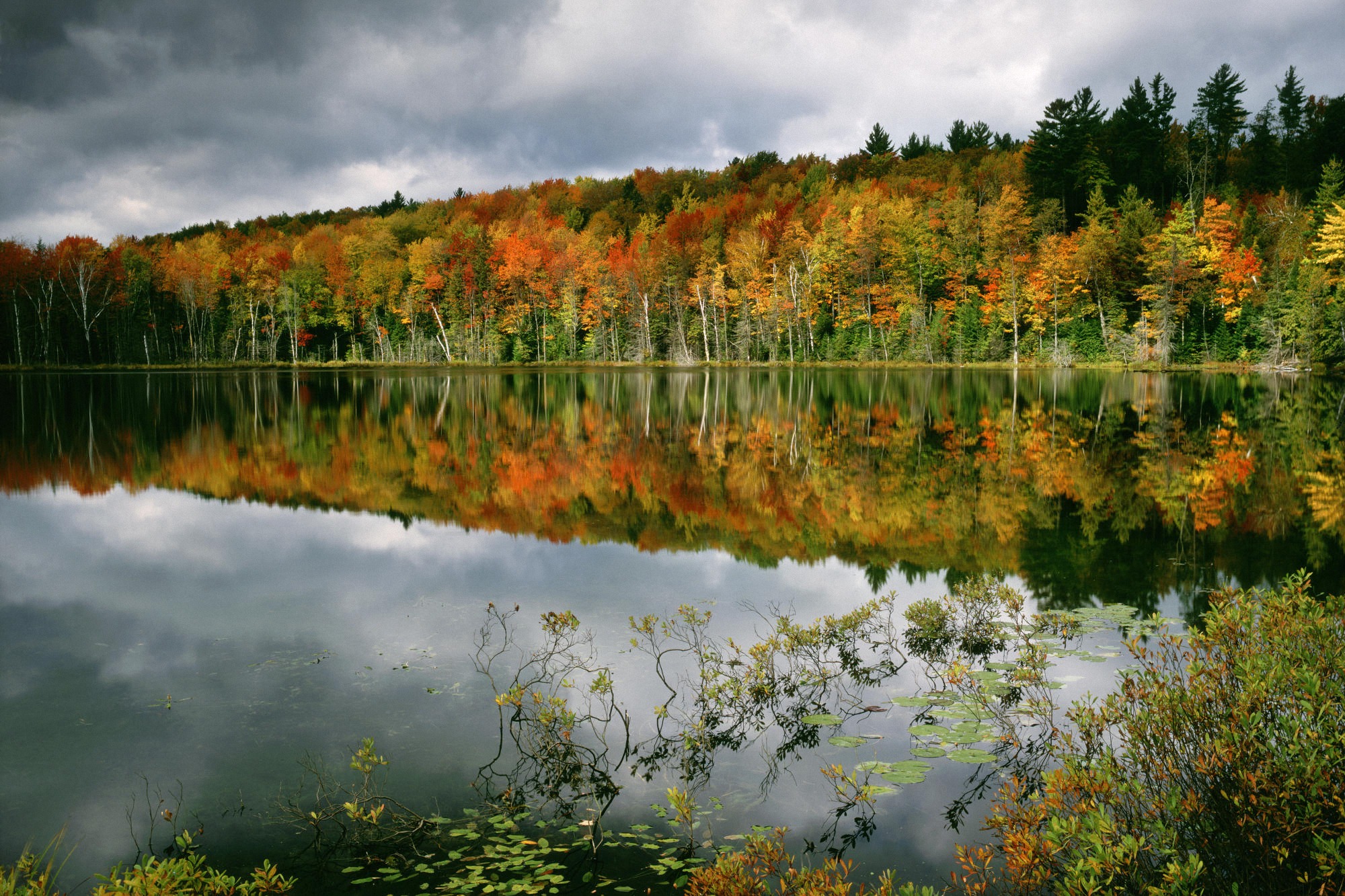 Осень вода отражение лес речка бесплатно