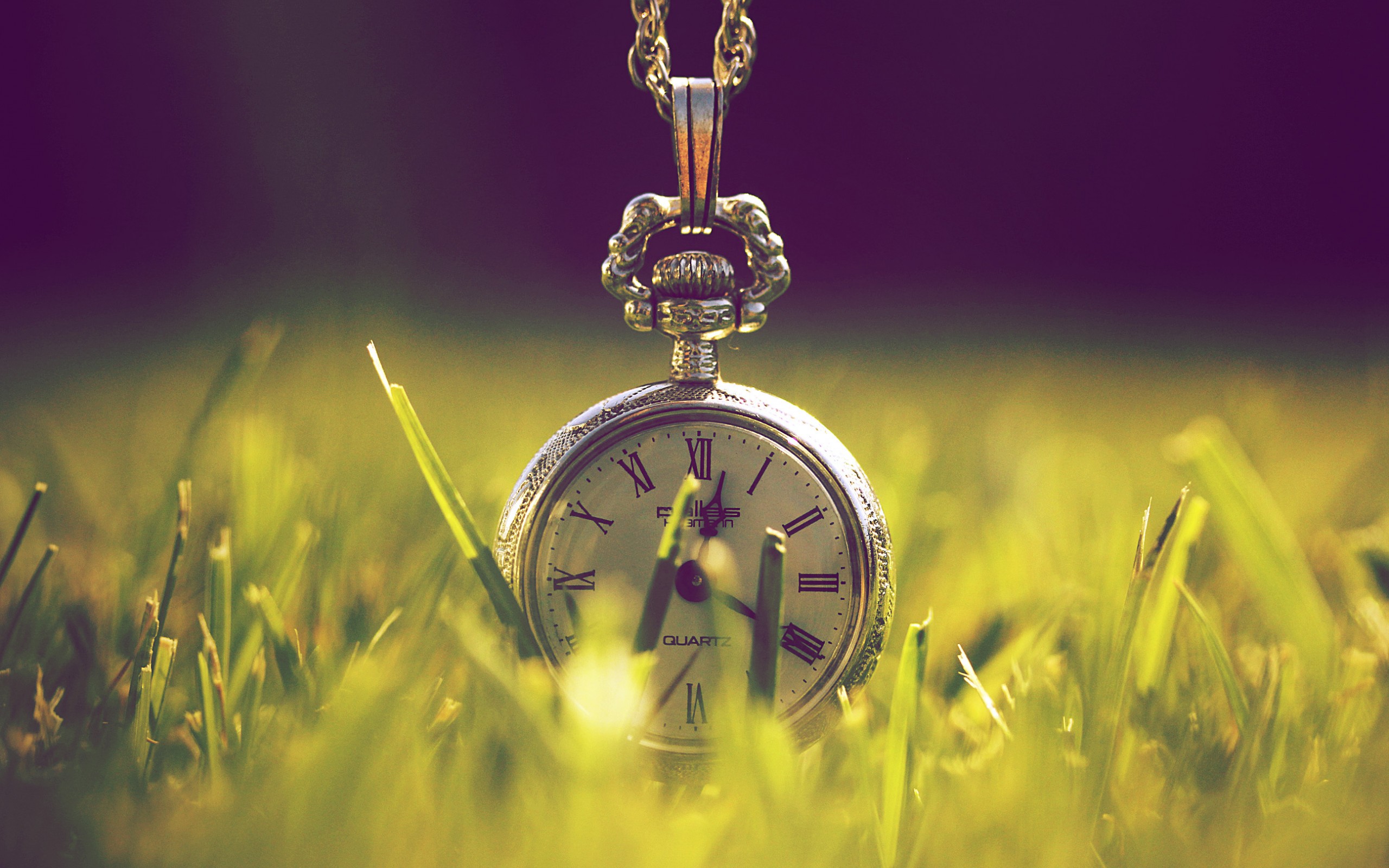 bolsillo, reloj, antiguo