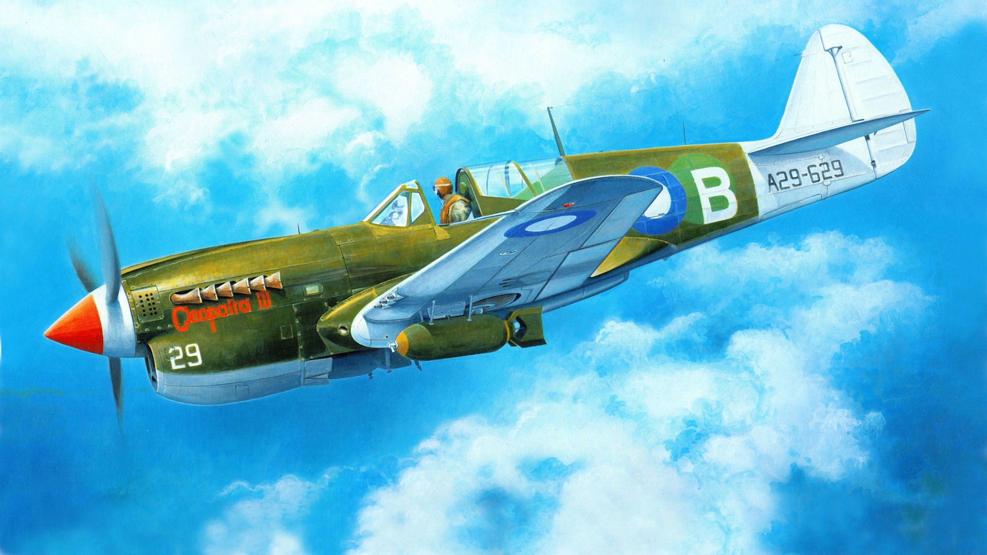 kittyhawk