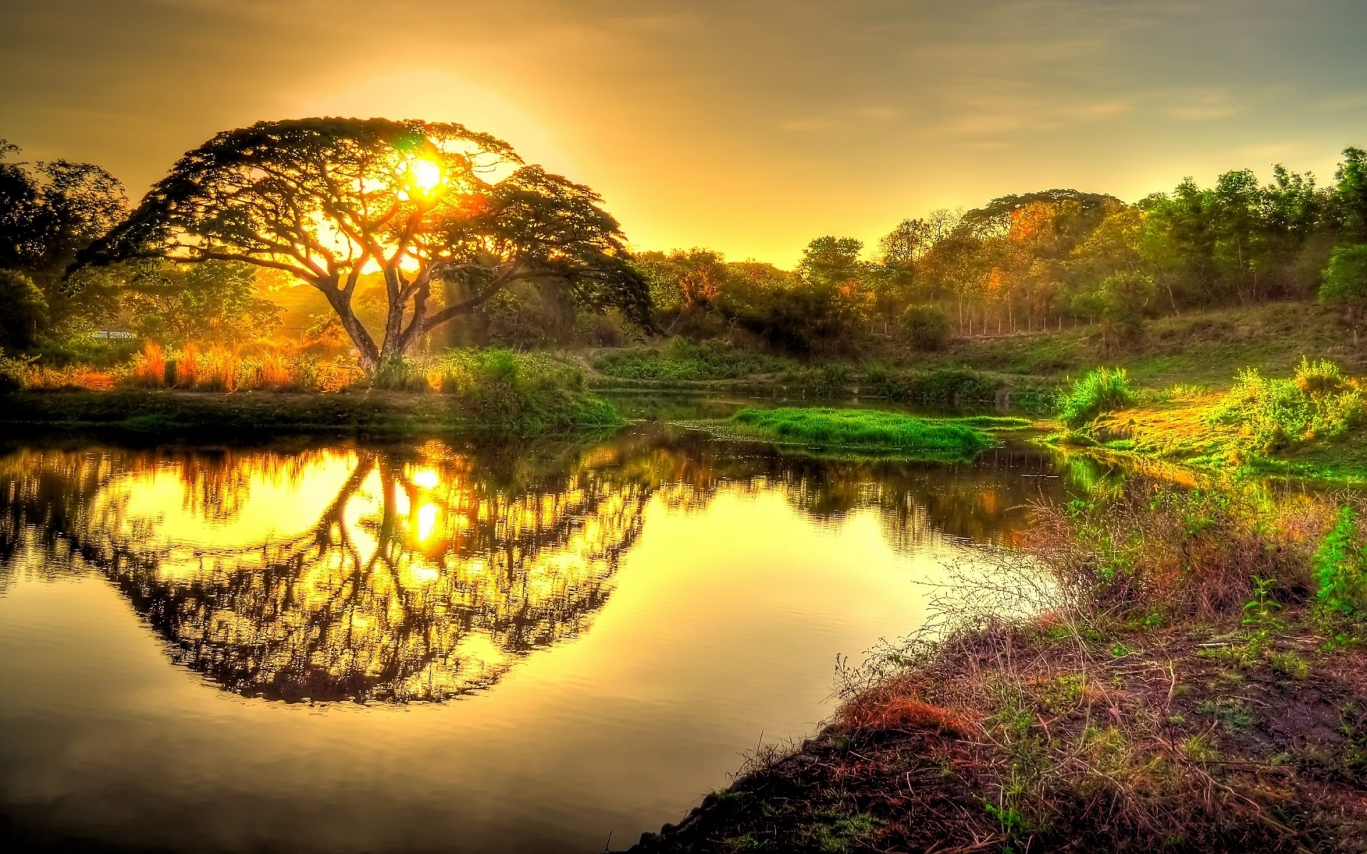 pinterest, соль, amanecer