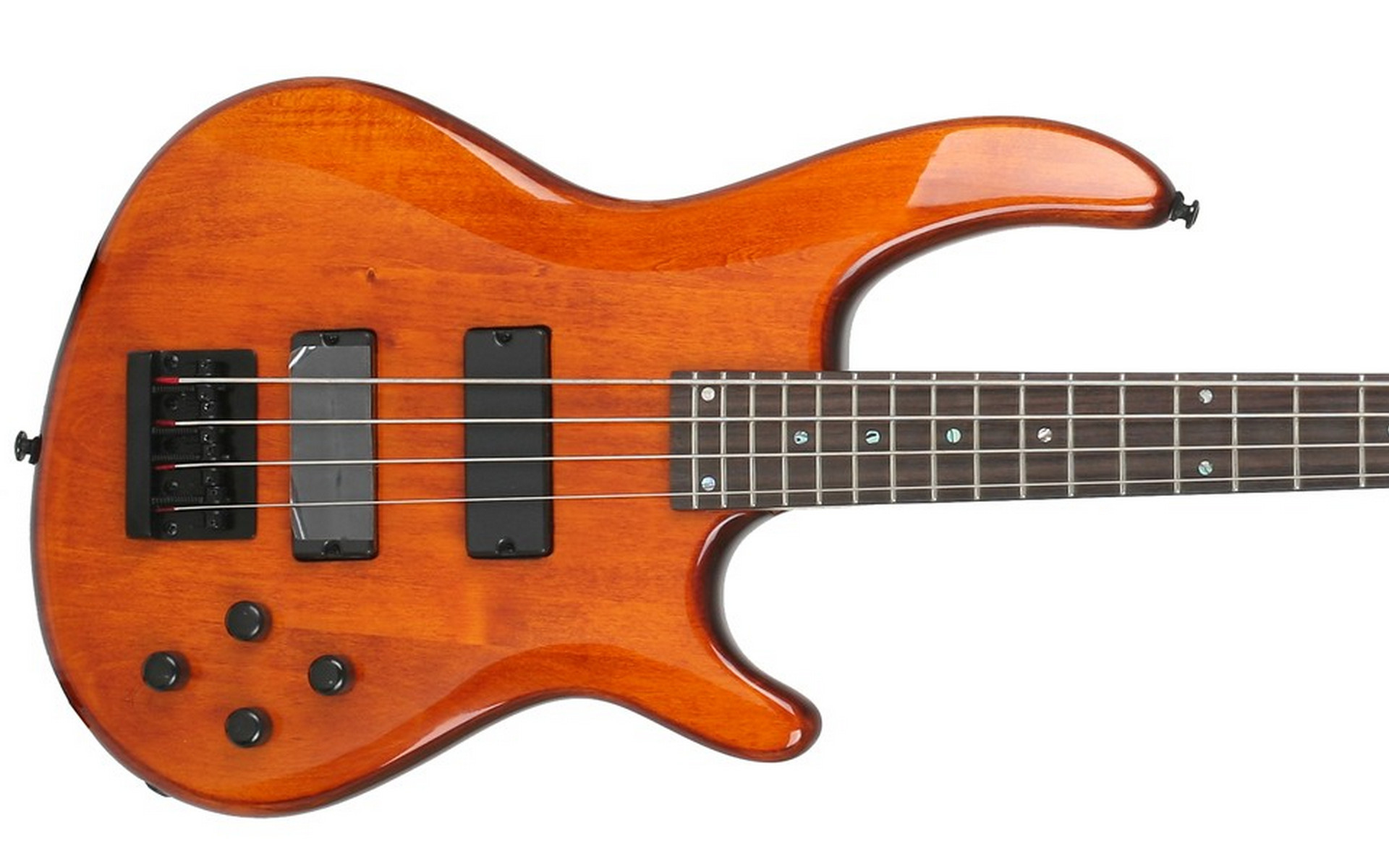 закрытие бас-гитары с деревянным корпусом