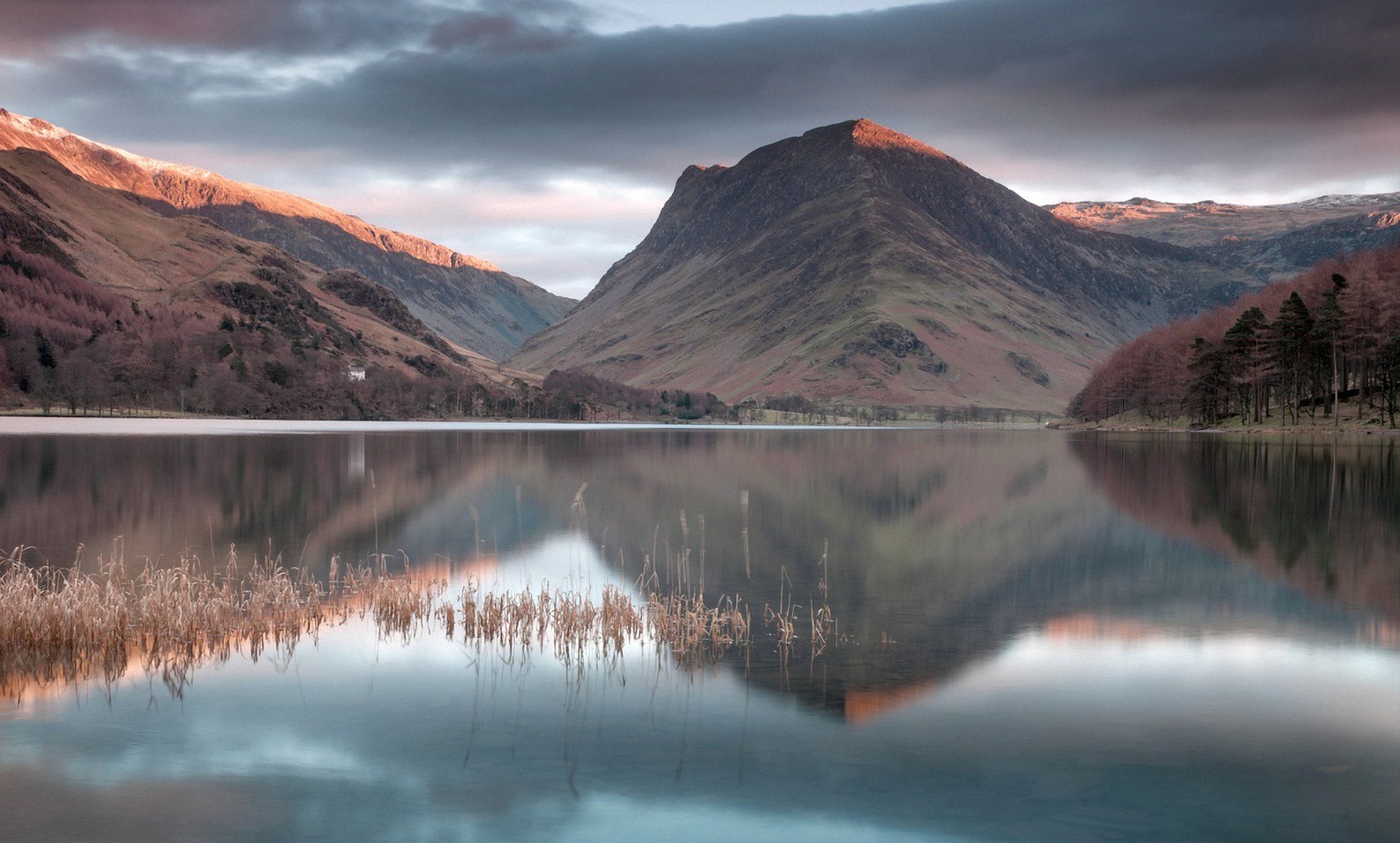 полные, бесплатные, цветы
