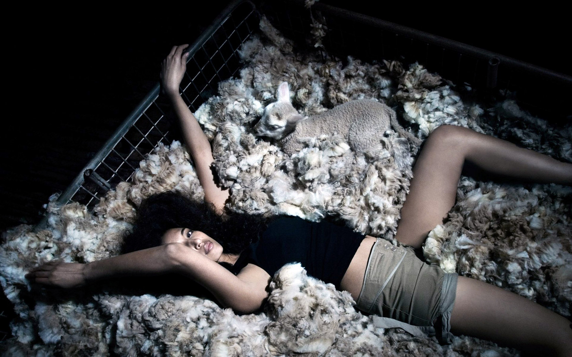 животный, животный