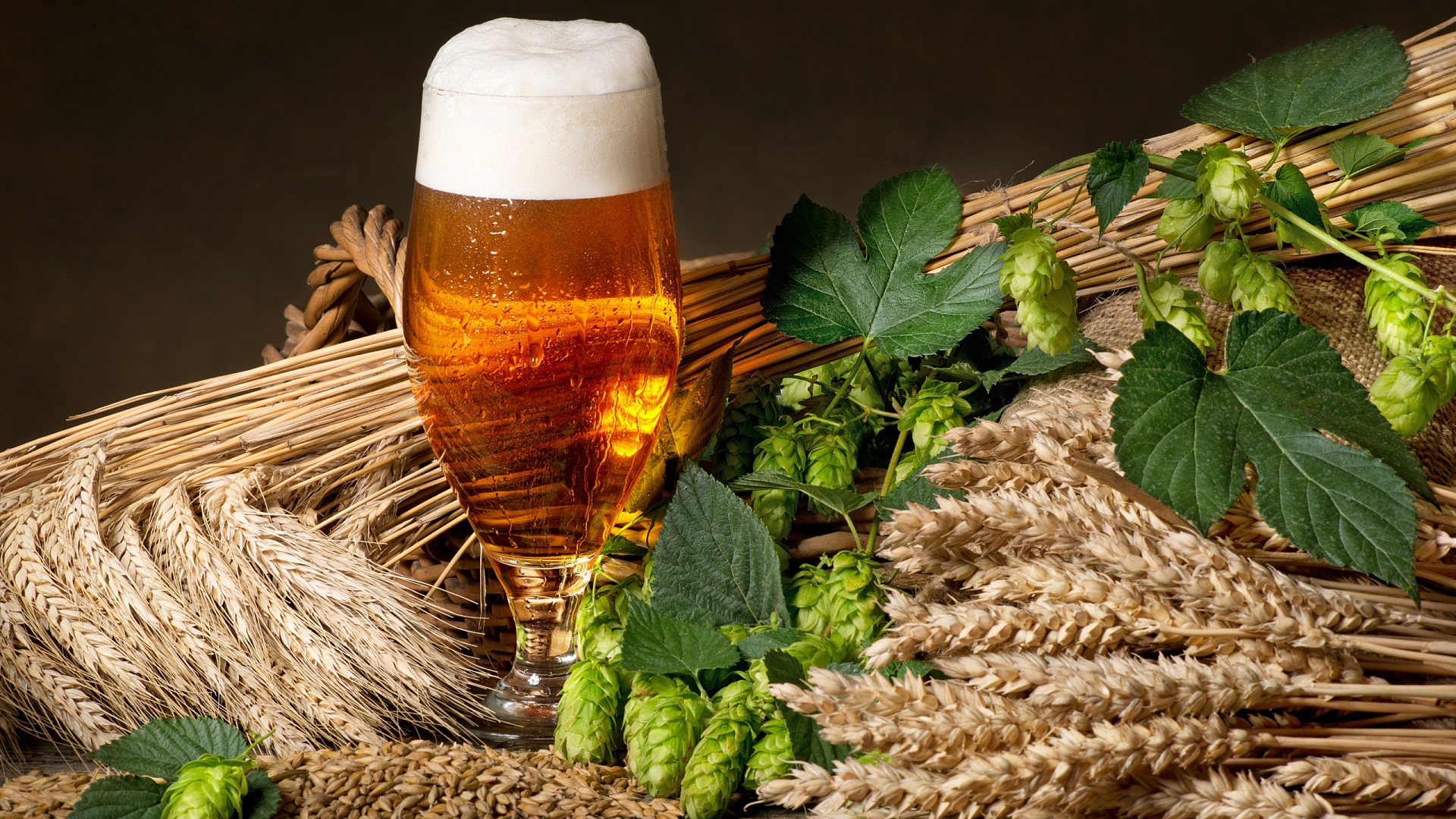 пиво, ячмень, варево