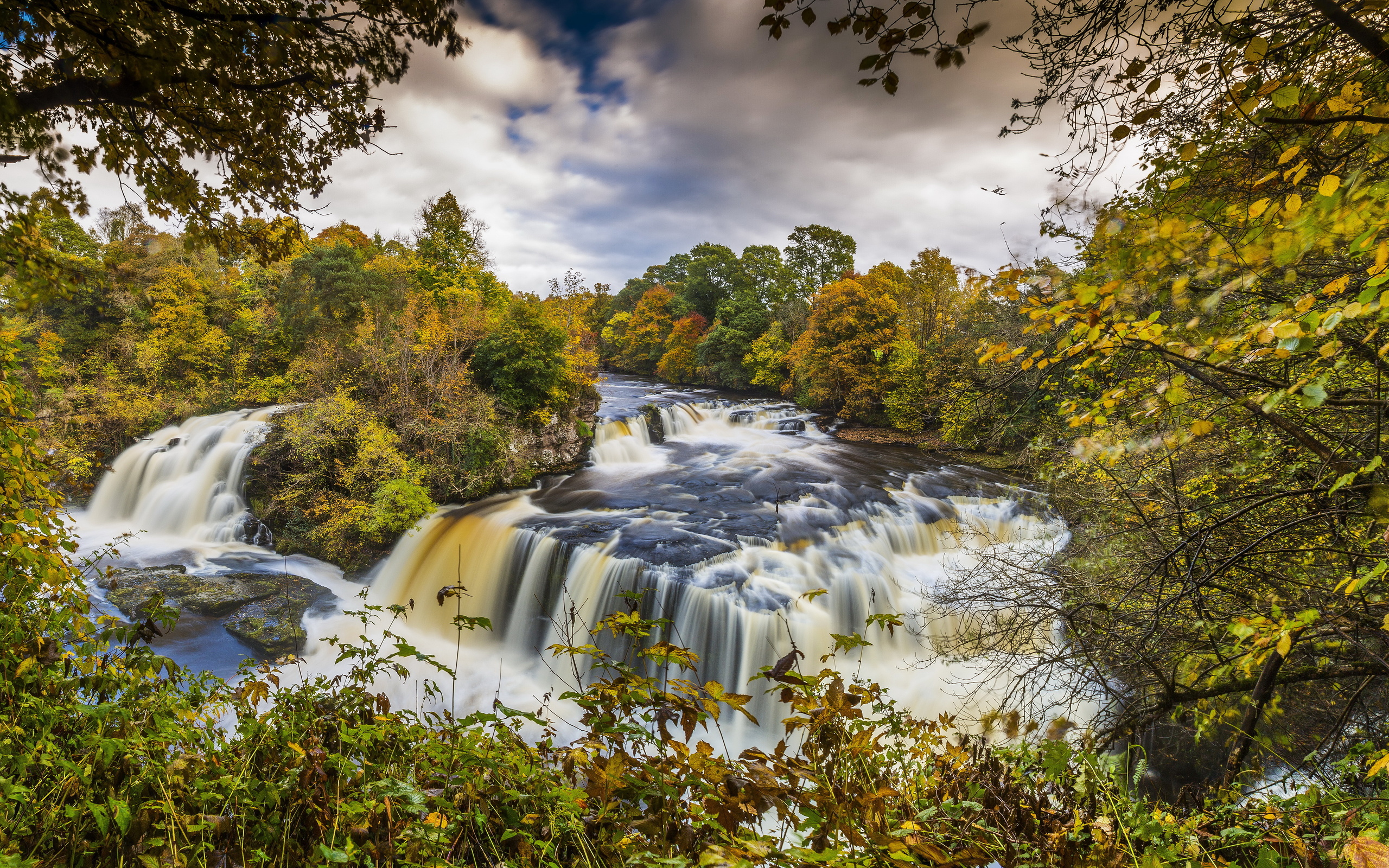 escocia, bosques, clyde