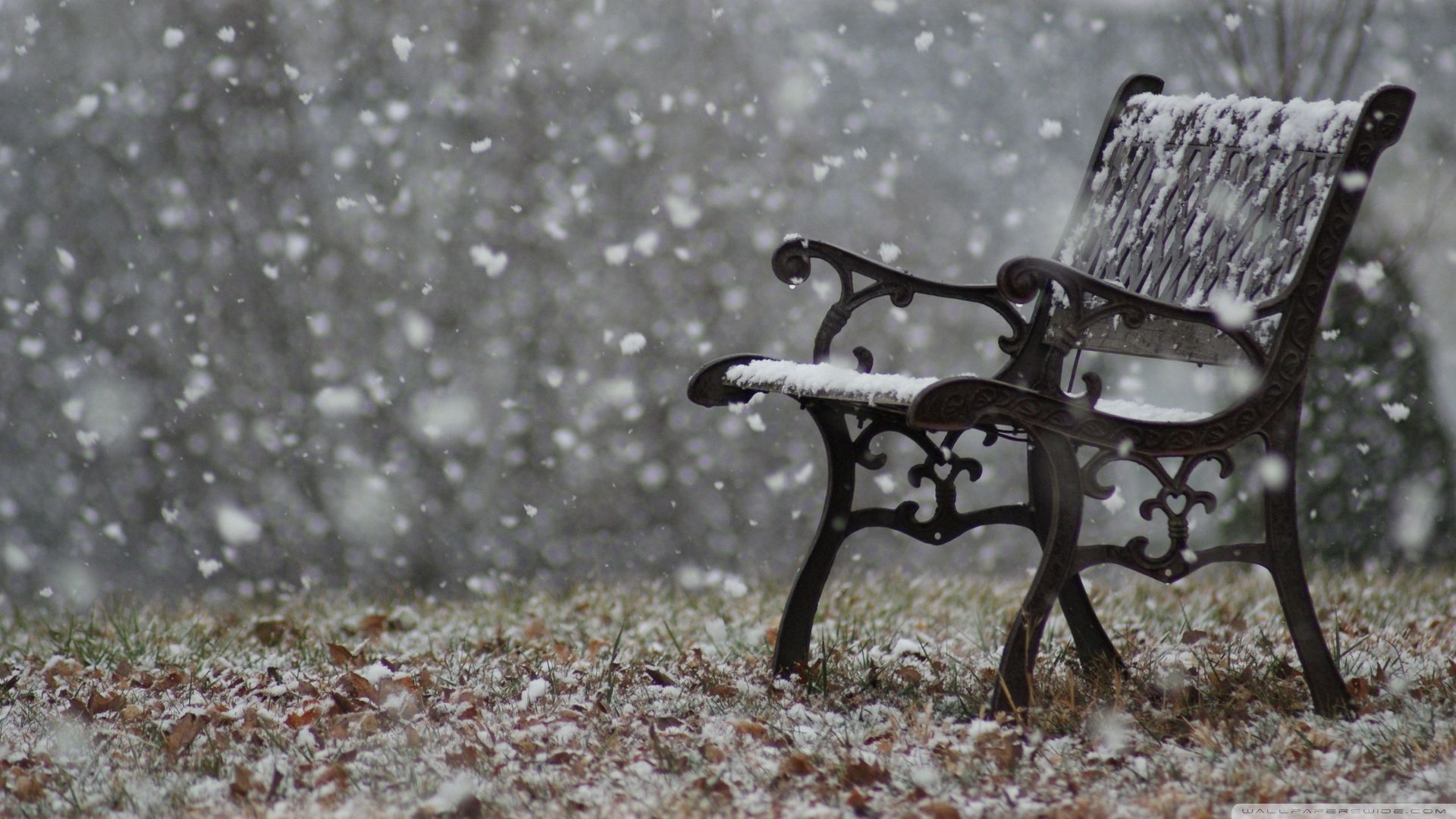 kiminle, unutabilirsin, ama