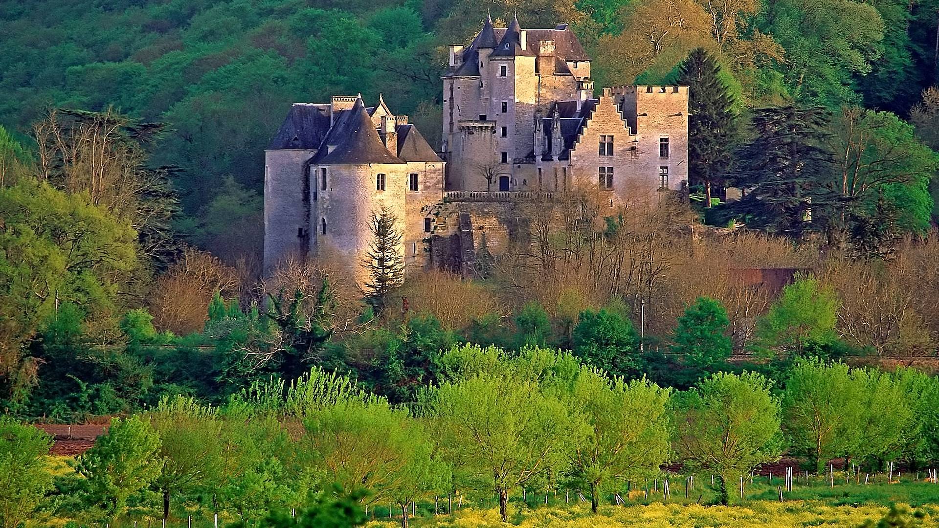 замок, лес, значок