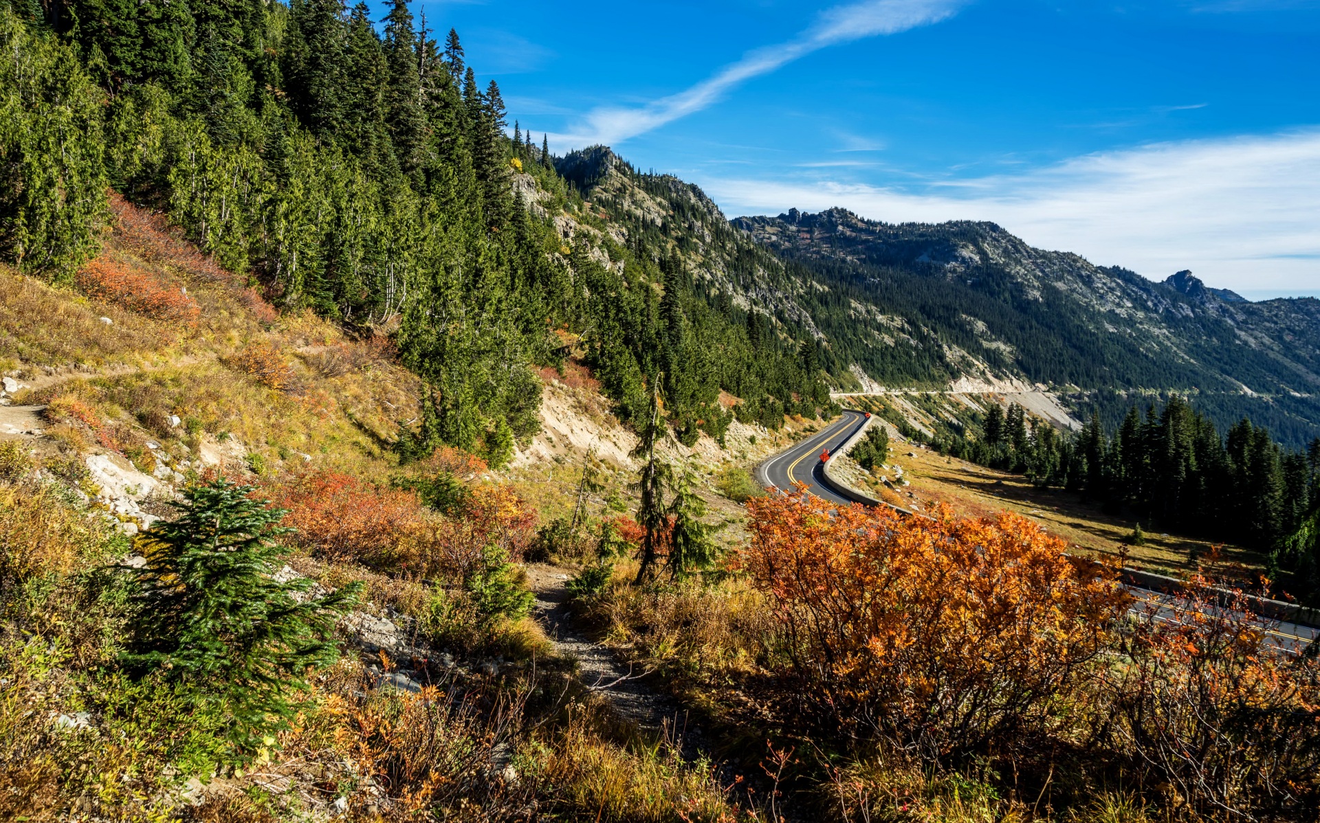 настольные, фото, бесплатно
