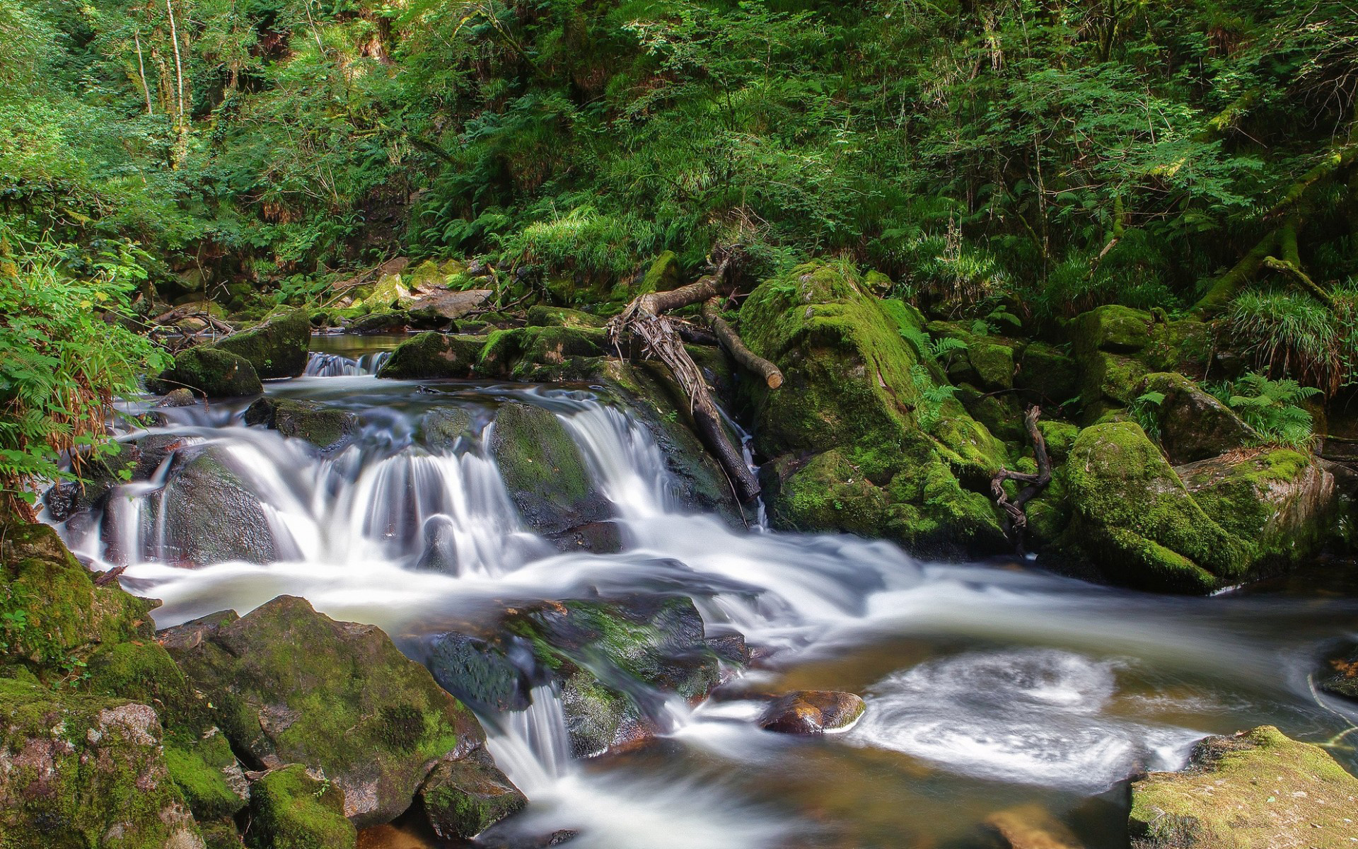 есть водопад, который течет вниз по холму в лесу