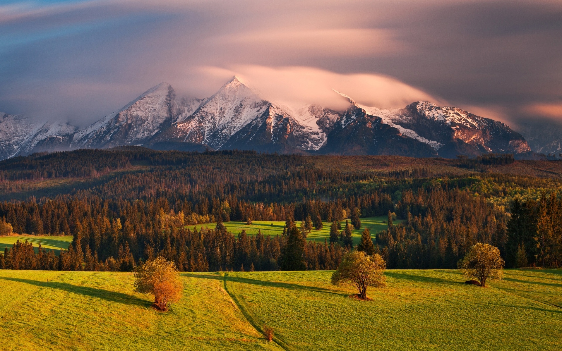 фото, фото, pinterest