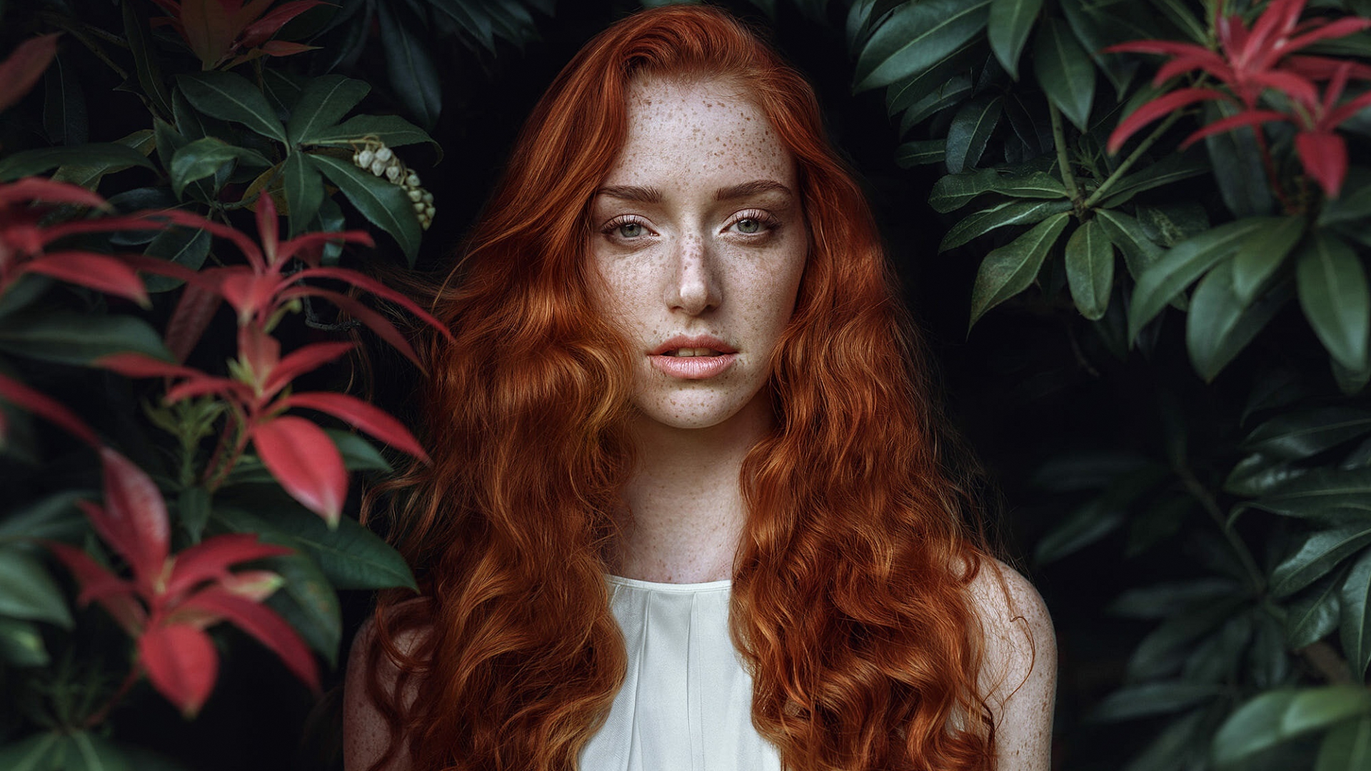 солга, сетчатка