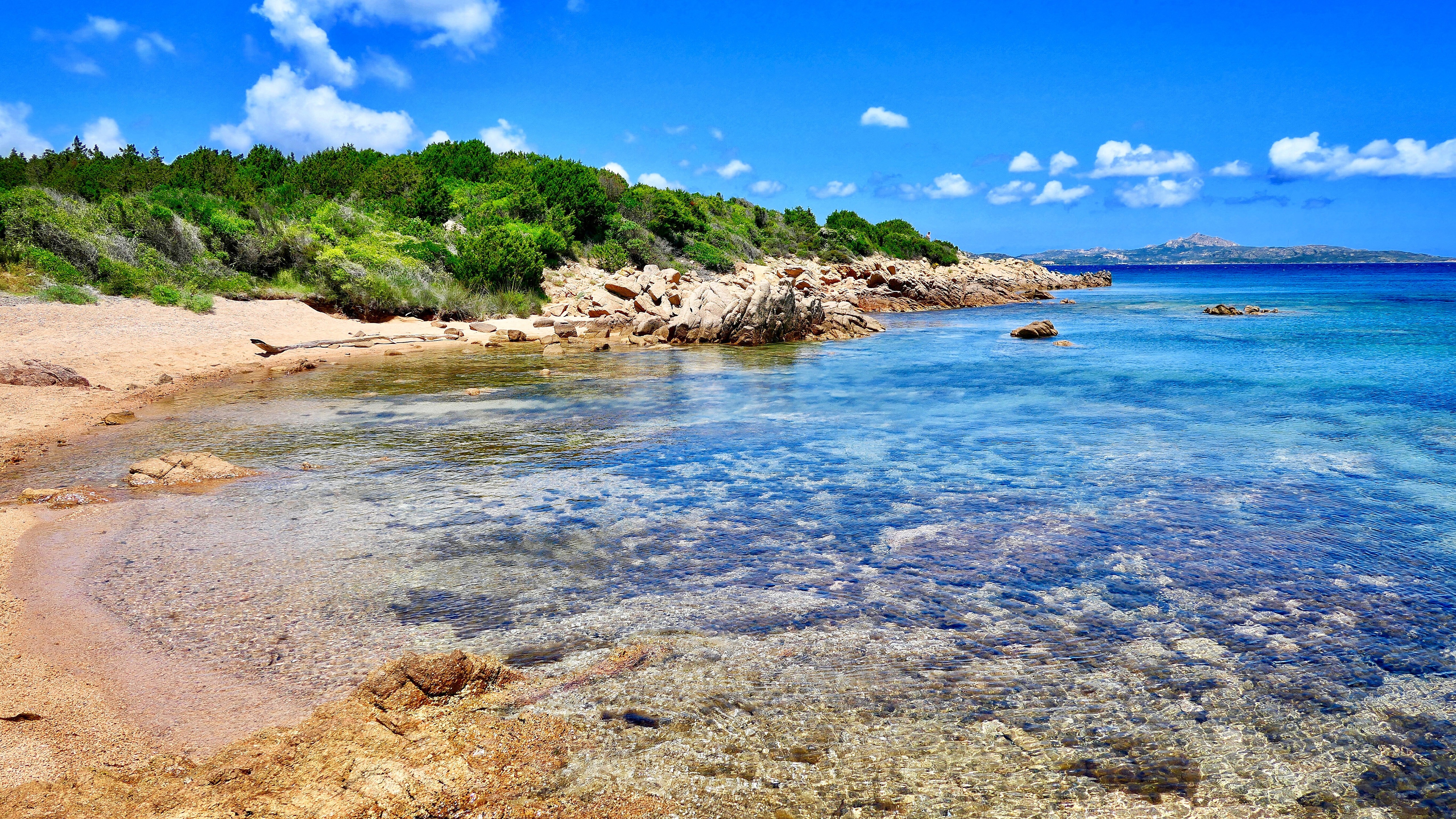 вечеринка, роя