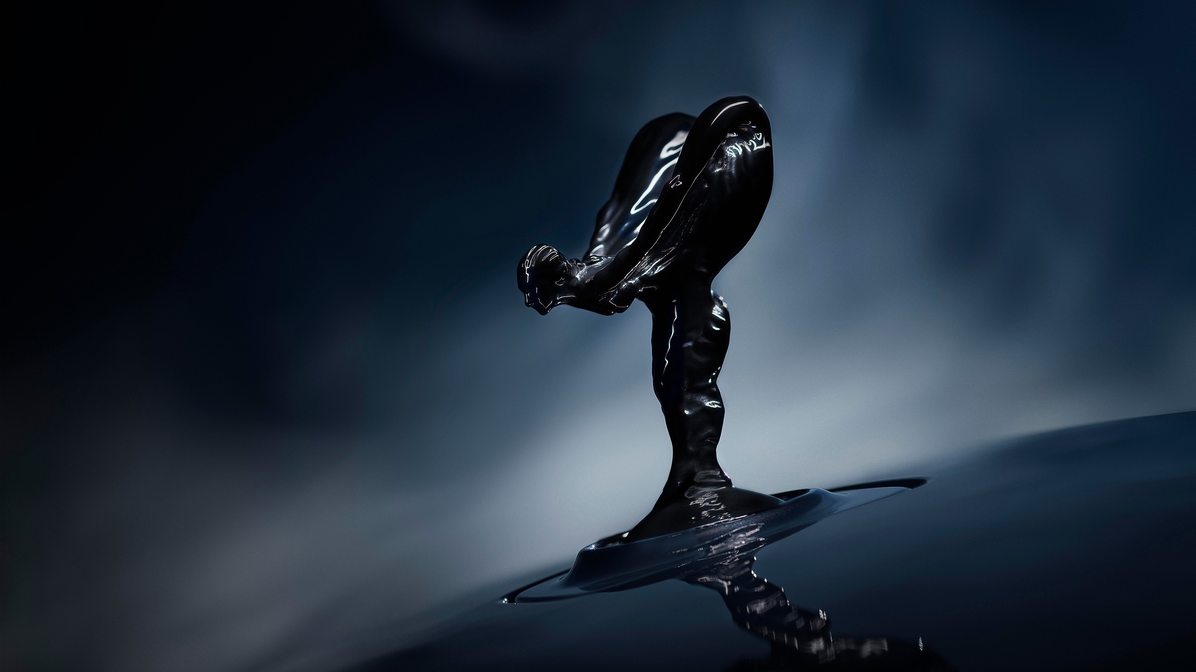 петух, рейс, черный