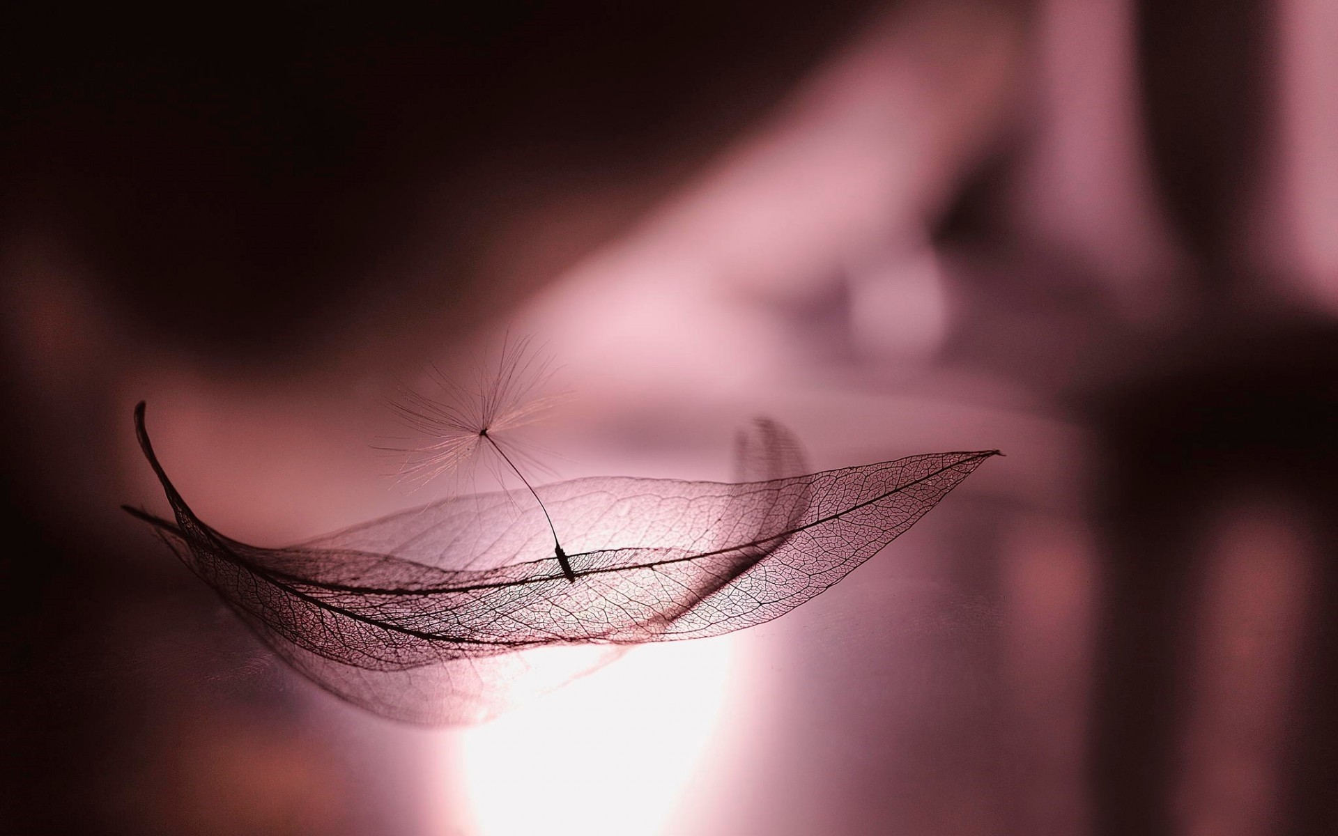 vein, art, abstract