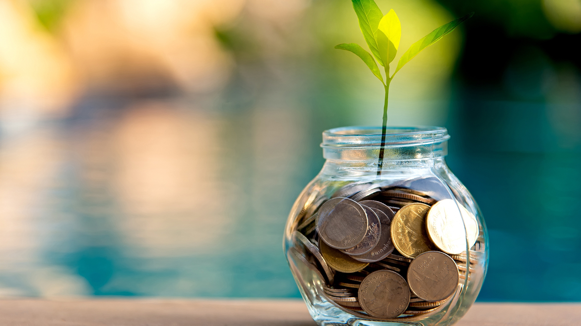 coin, банка, random