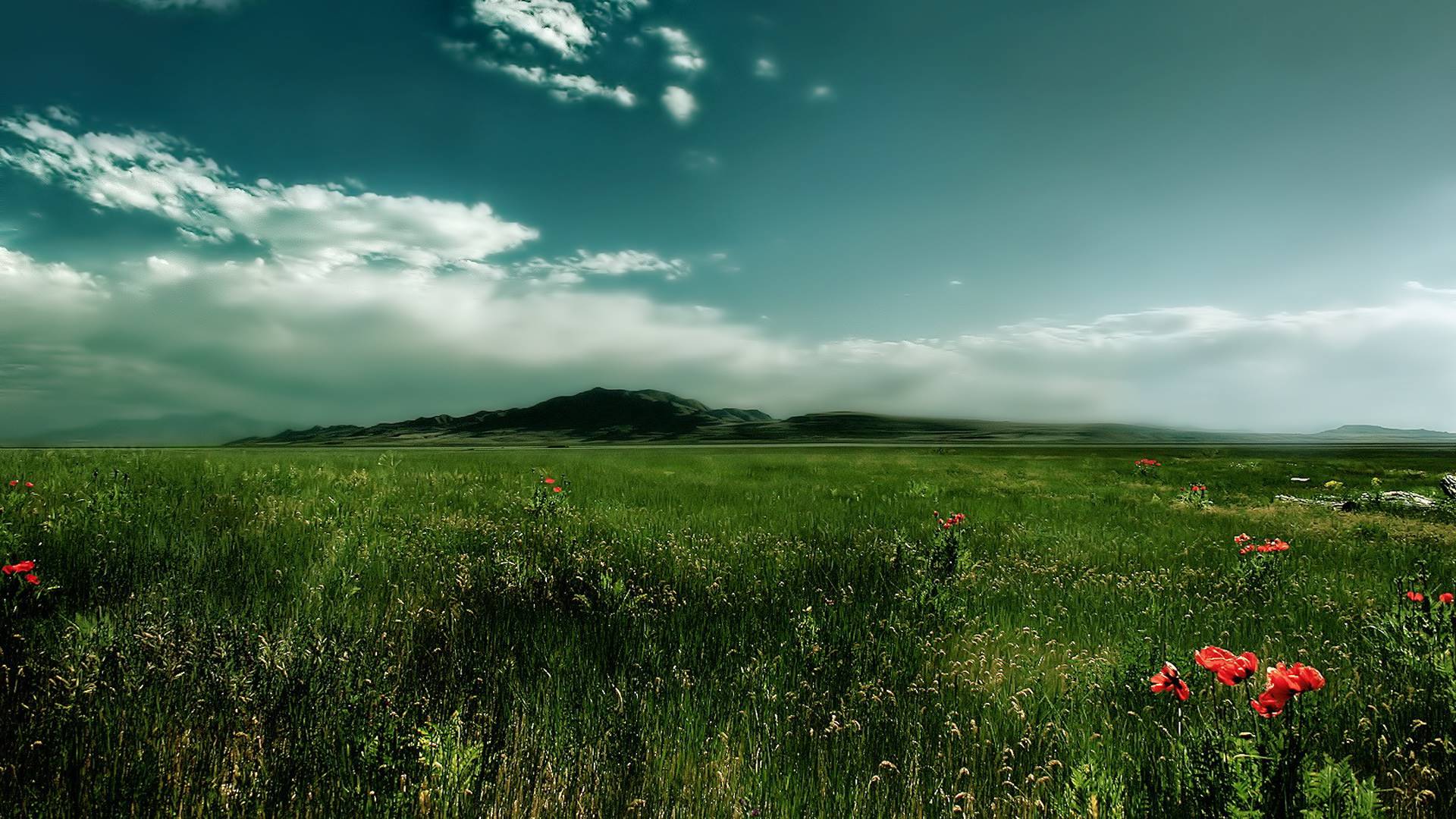 футбол, лето