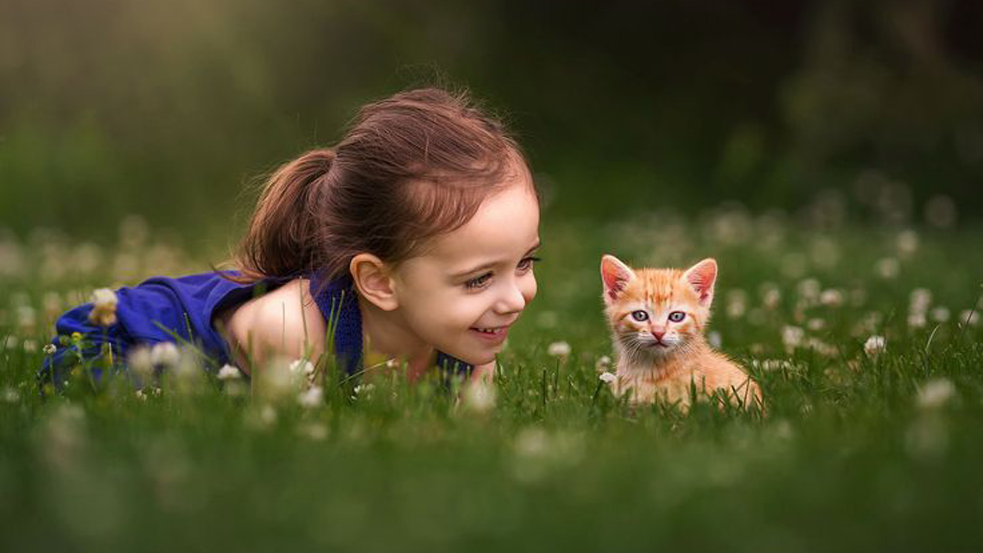 девочка, котенок, маленький