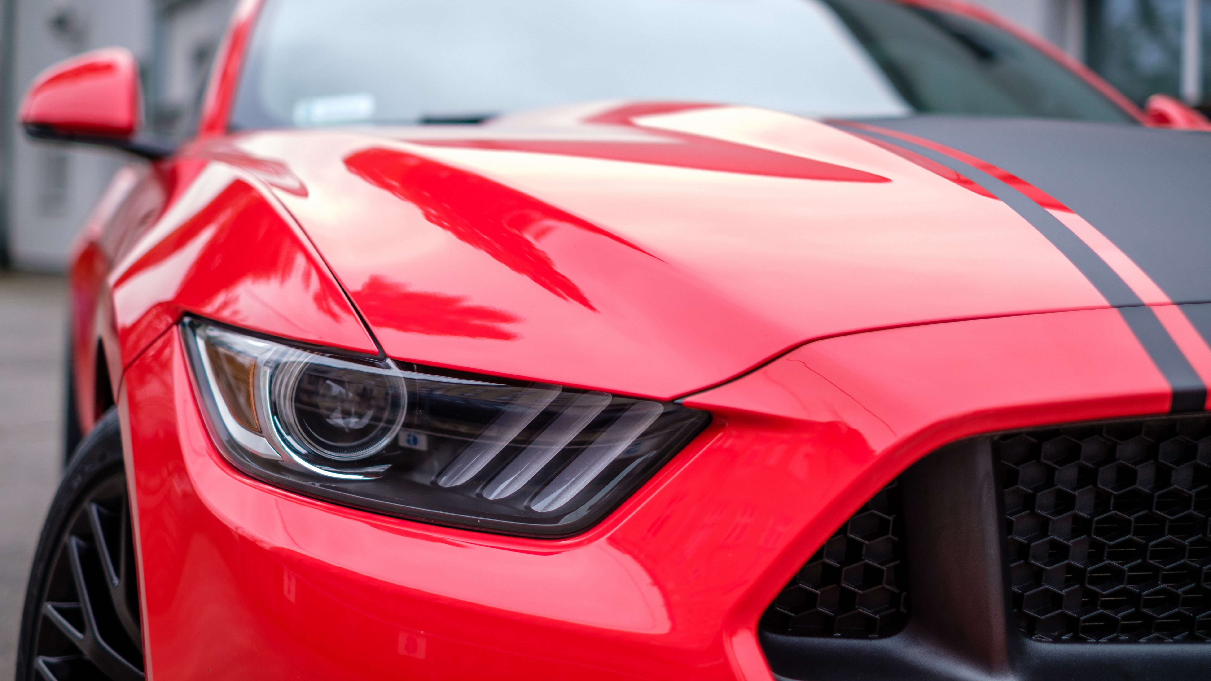mustang, ford, auto