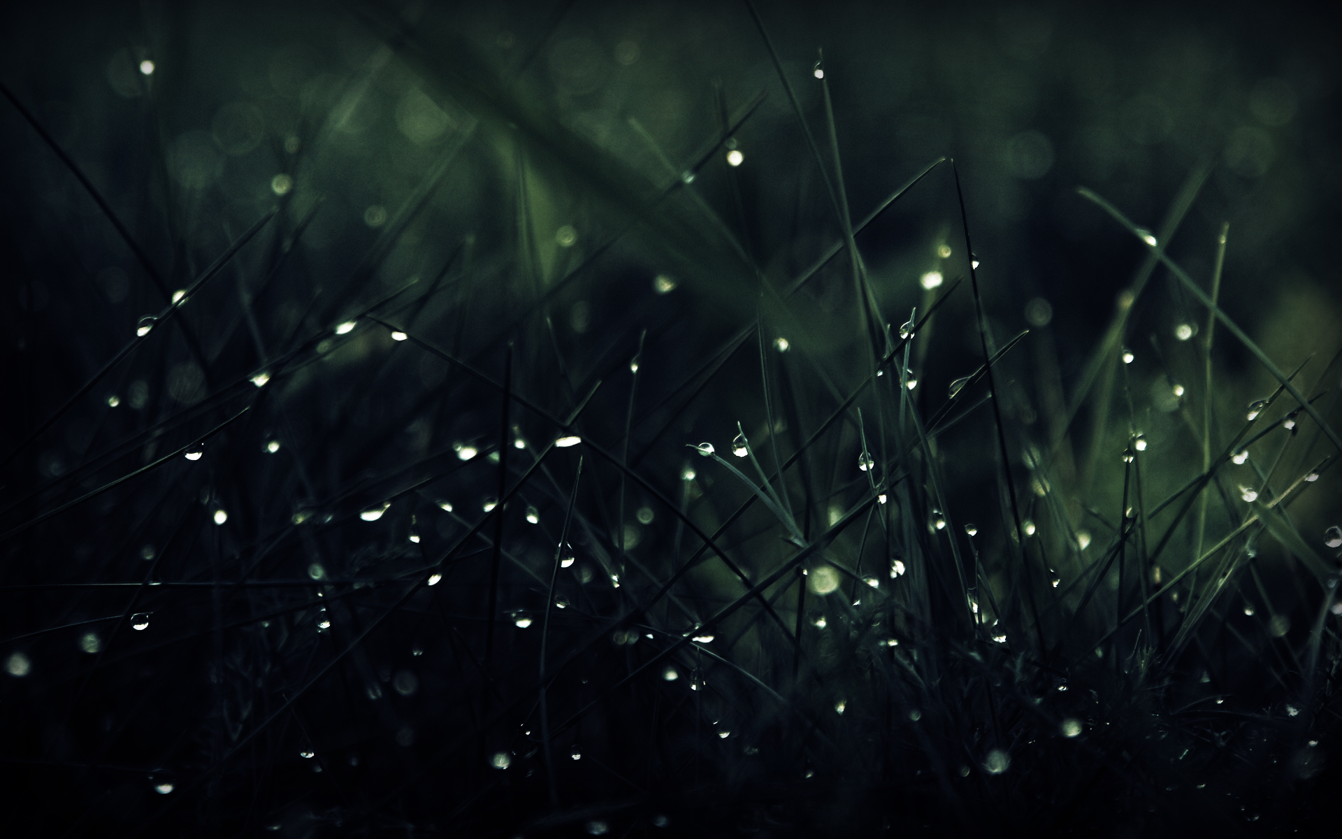 Фон № 44204 разрешение 1920x1200