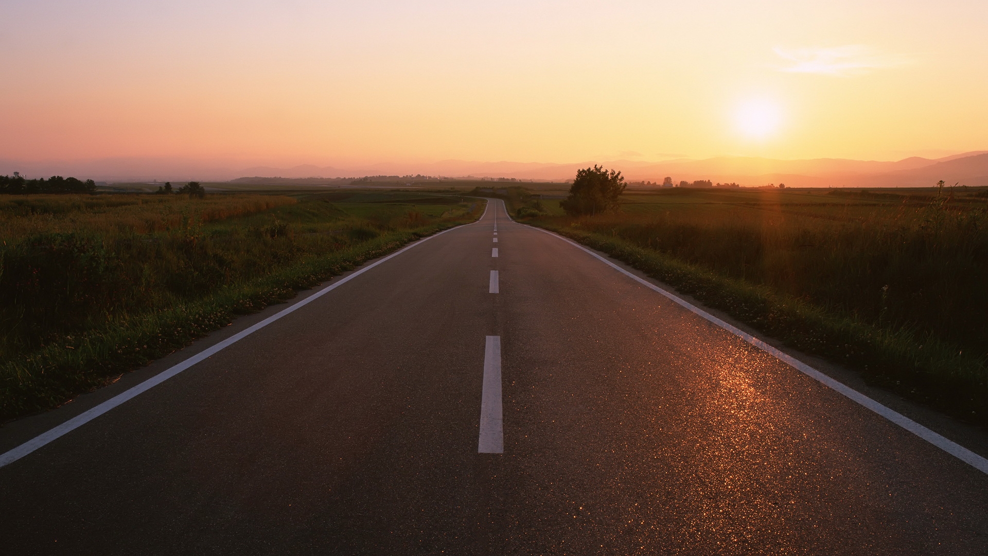 новости, пара