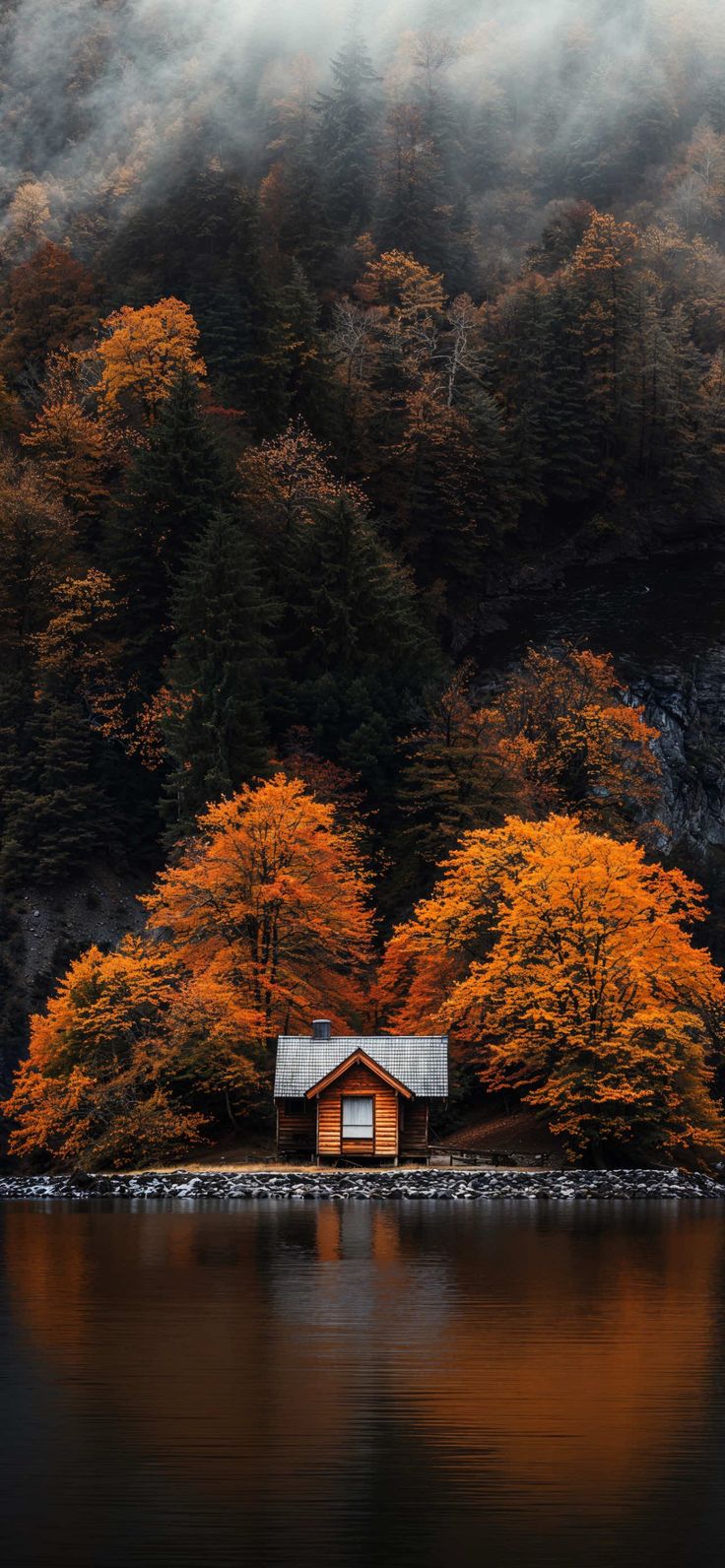 деревья находятся на фоне небольшой хижины на озере