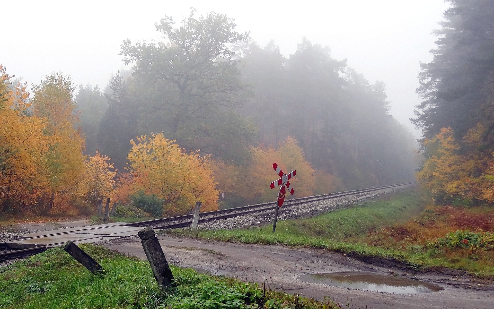 Осенний пейзаж железная дорога