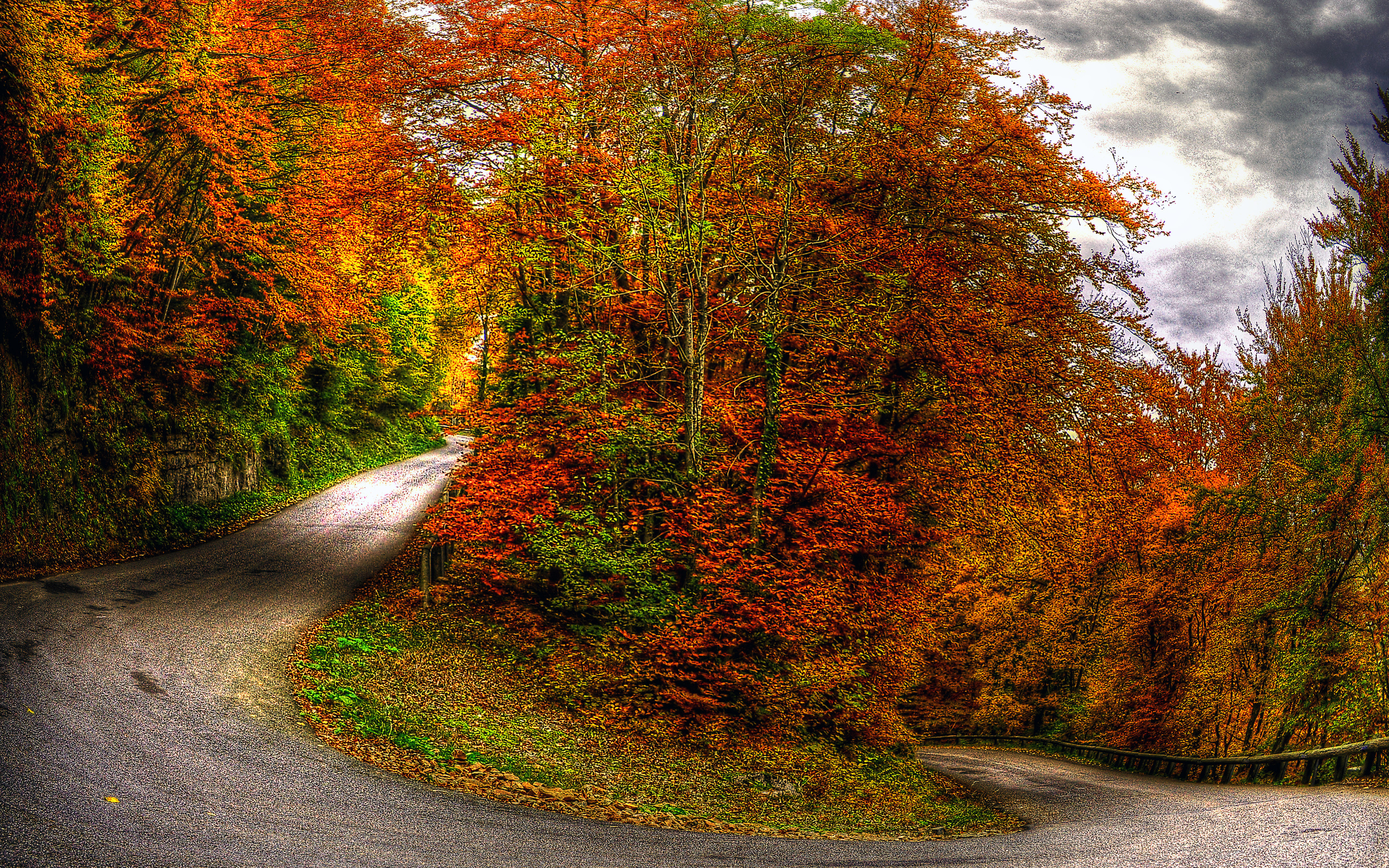 природа осень деревья дорога загрузить