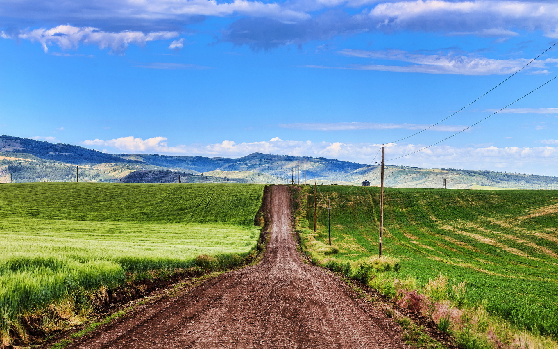 металлические, настольные