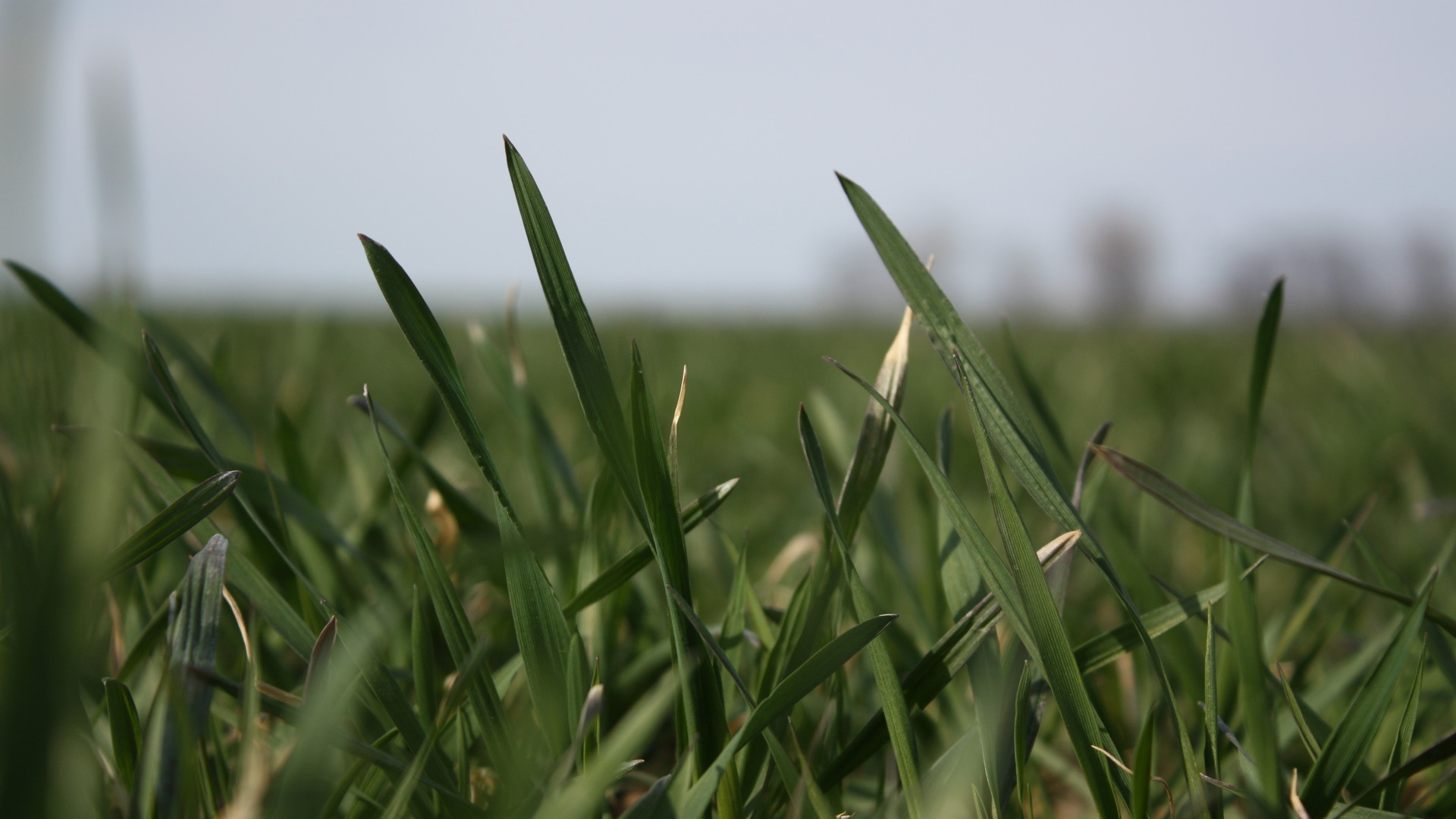 Природа 31746