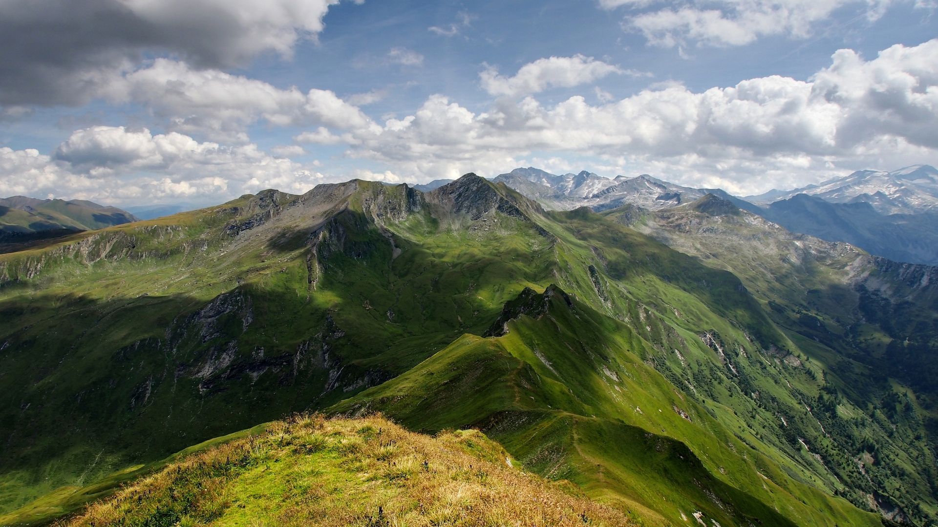 заказ, тень