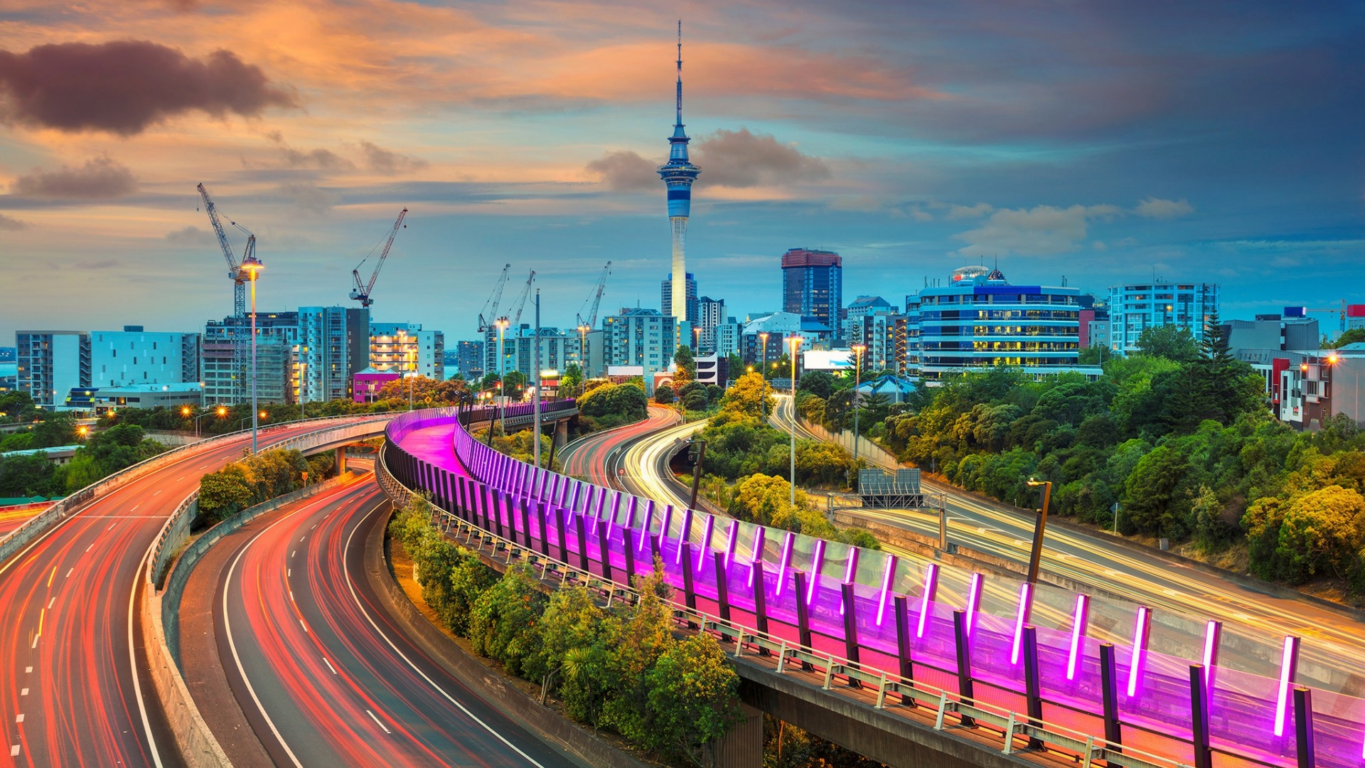 photos, rudy, auckland