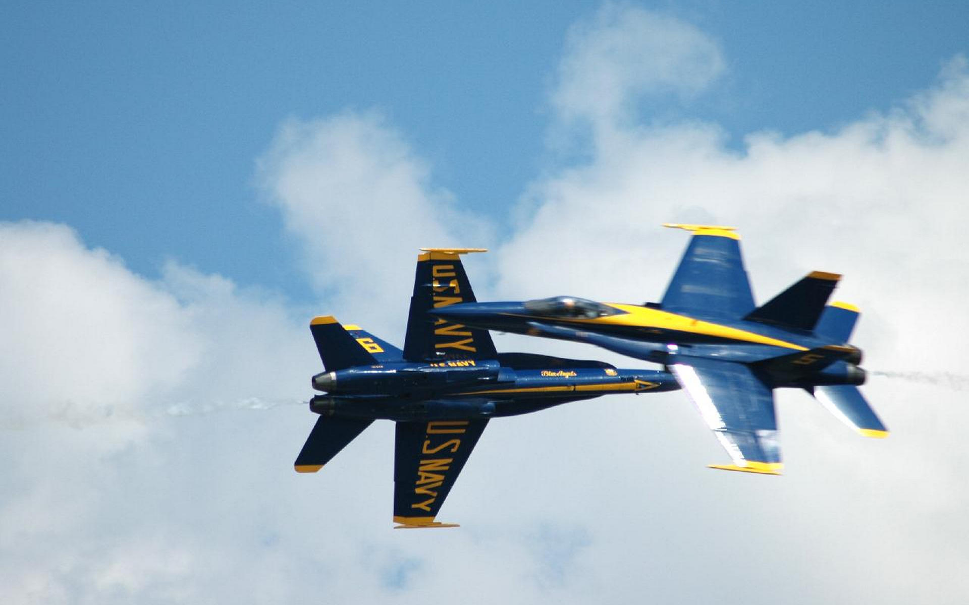 живые, живые