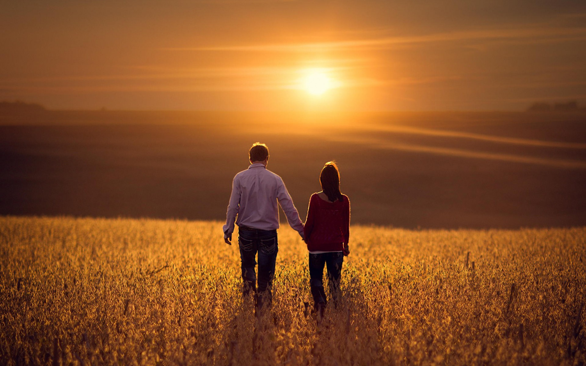 поле, совместимость, большой