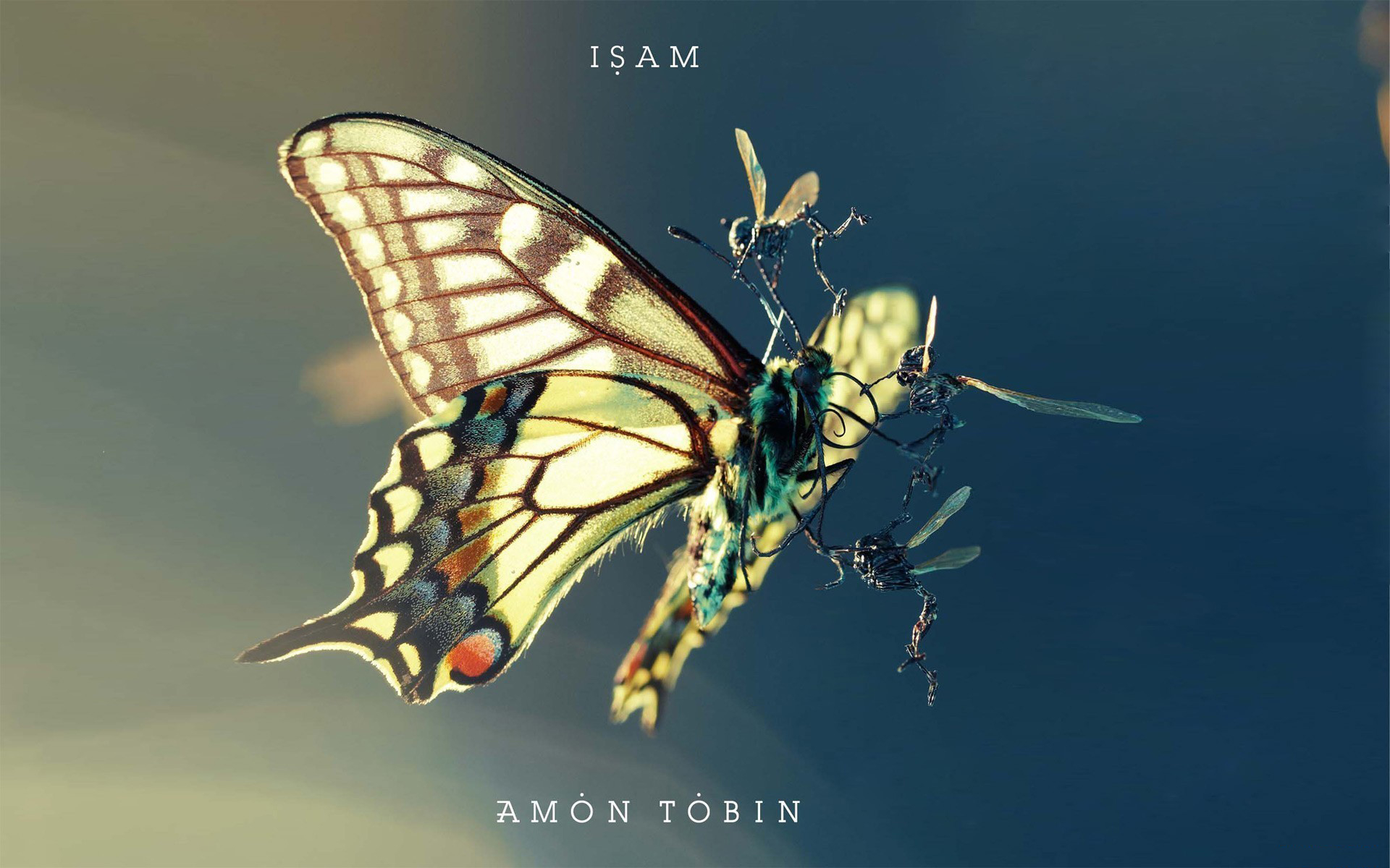 amon, tobin, isam Фон № 96507 разрешение 1920x1200