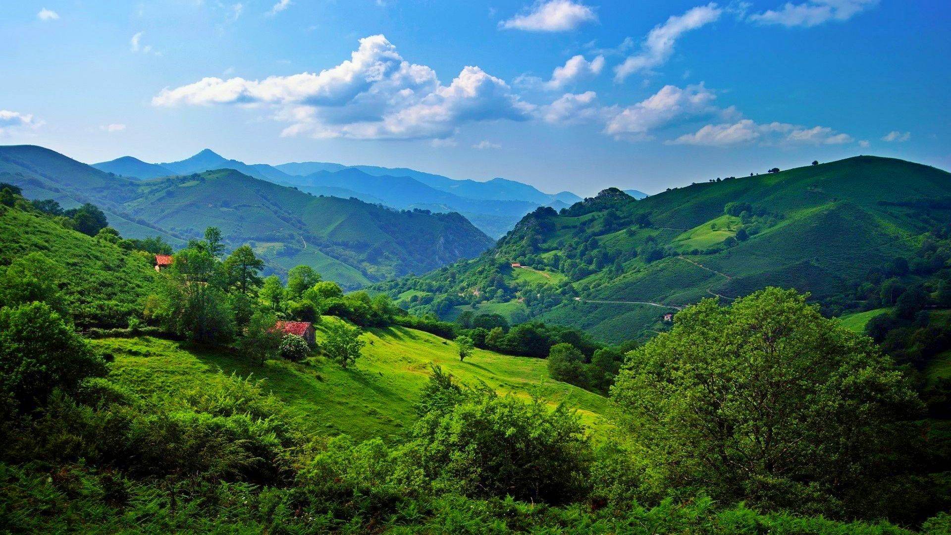 гора, зеленое