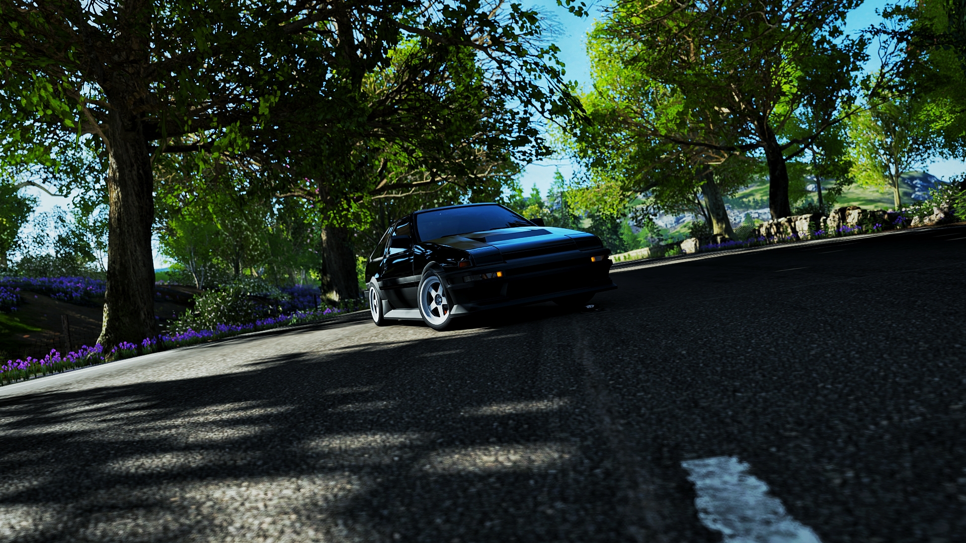 toyo, trueno, car