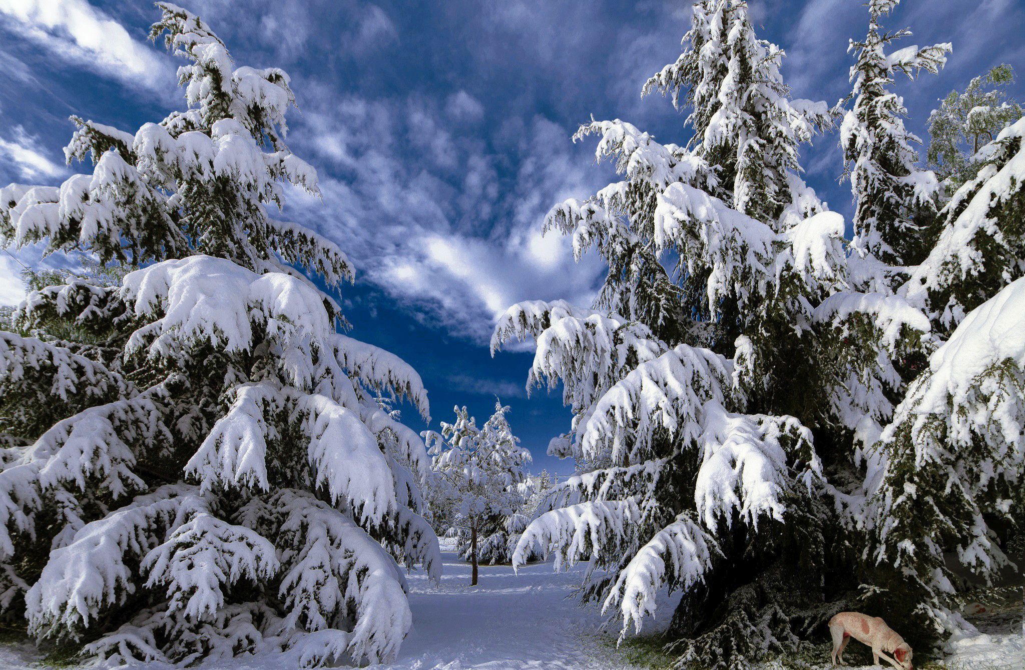 зимние, пейзажи -, душу