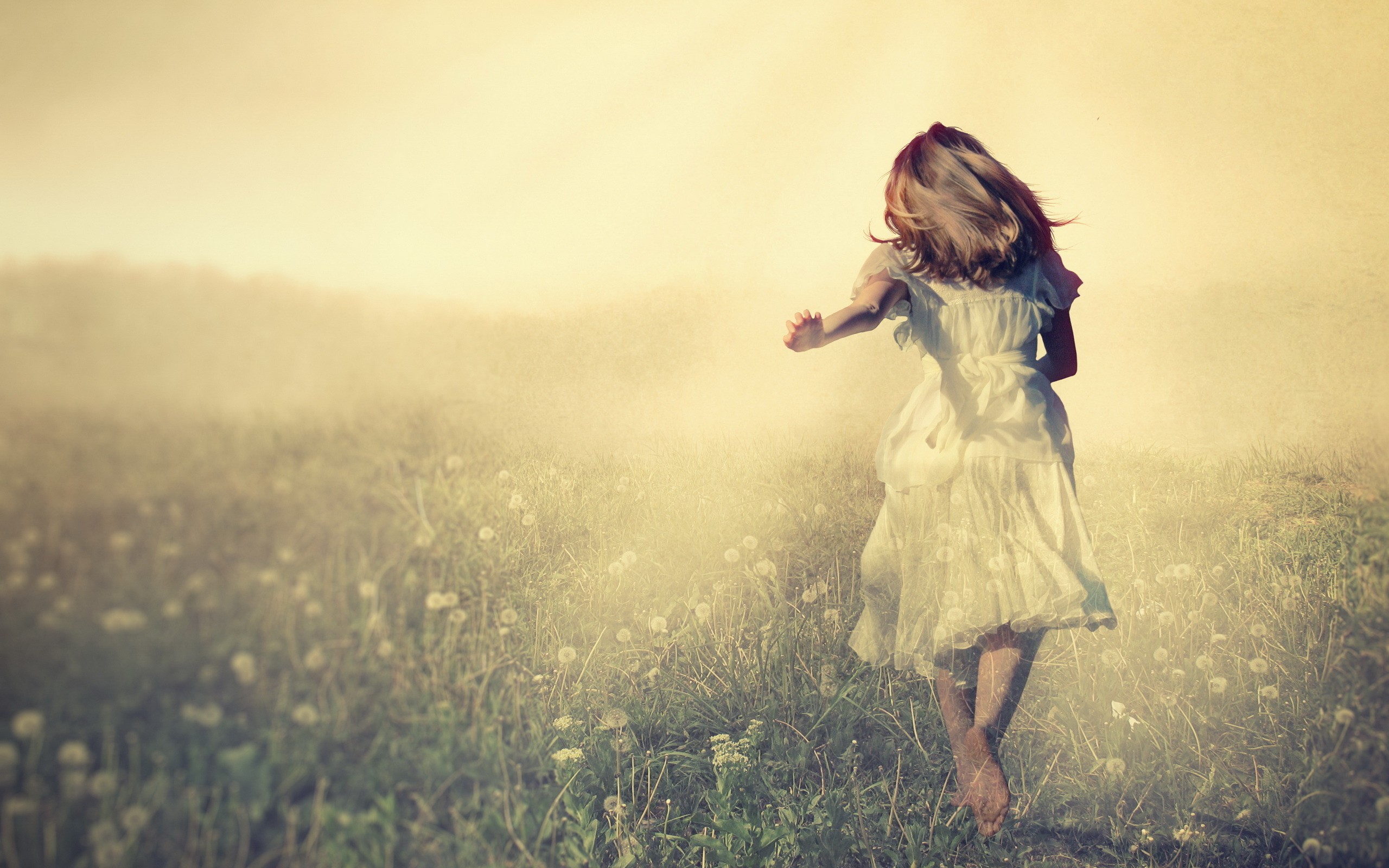 жизнь, новая