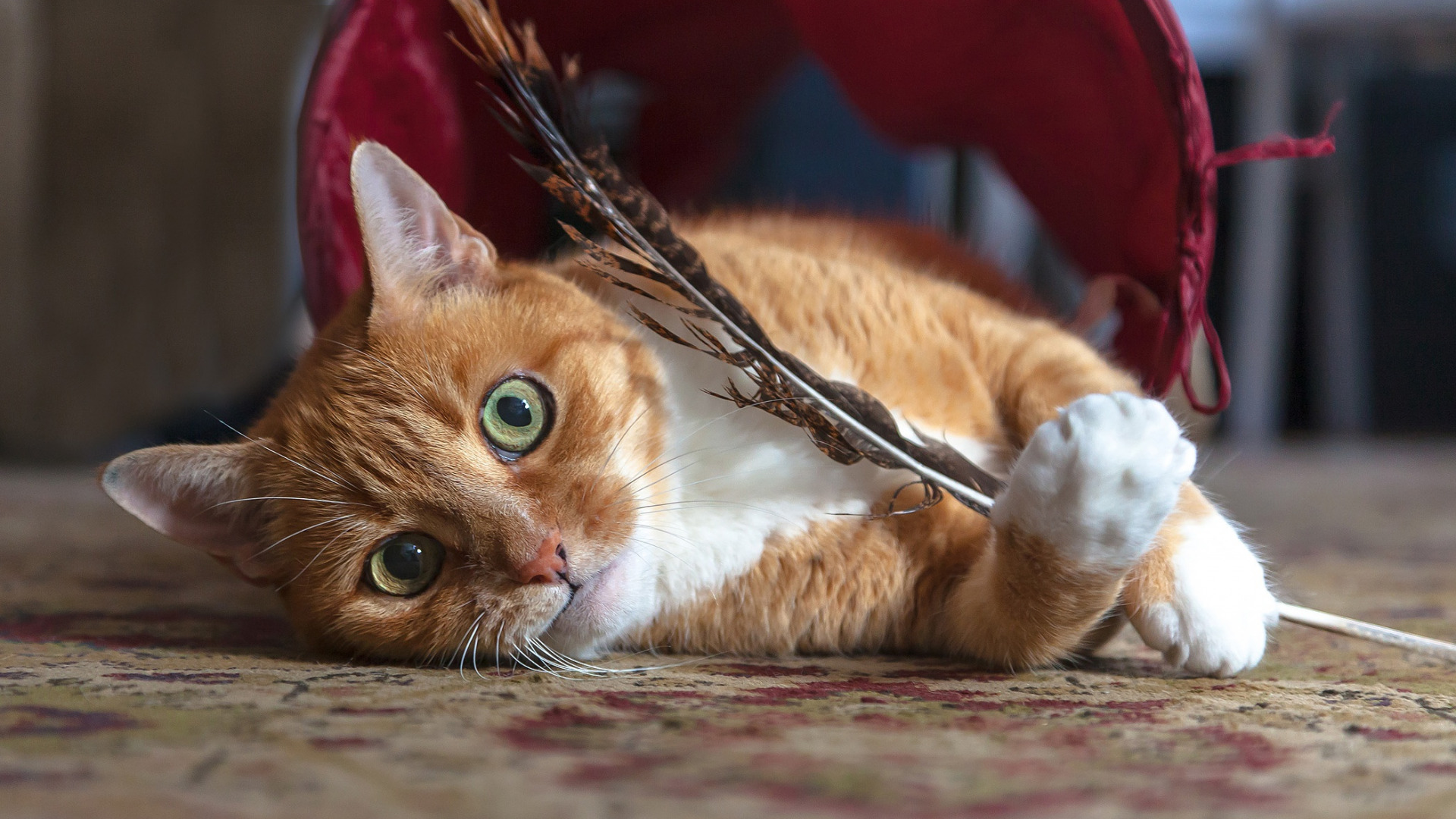 красный, красный