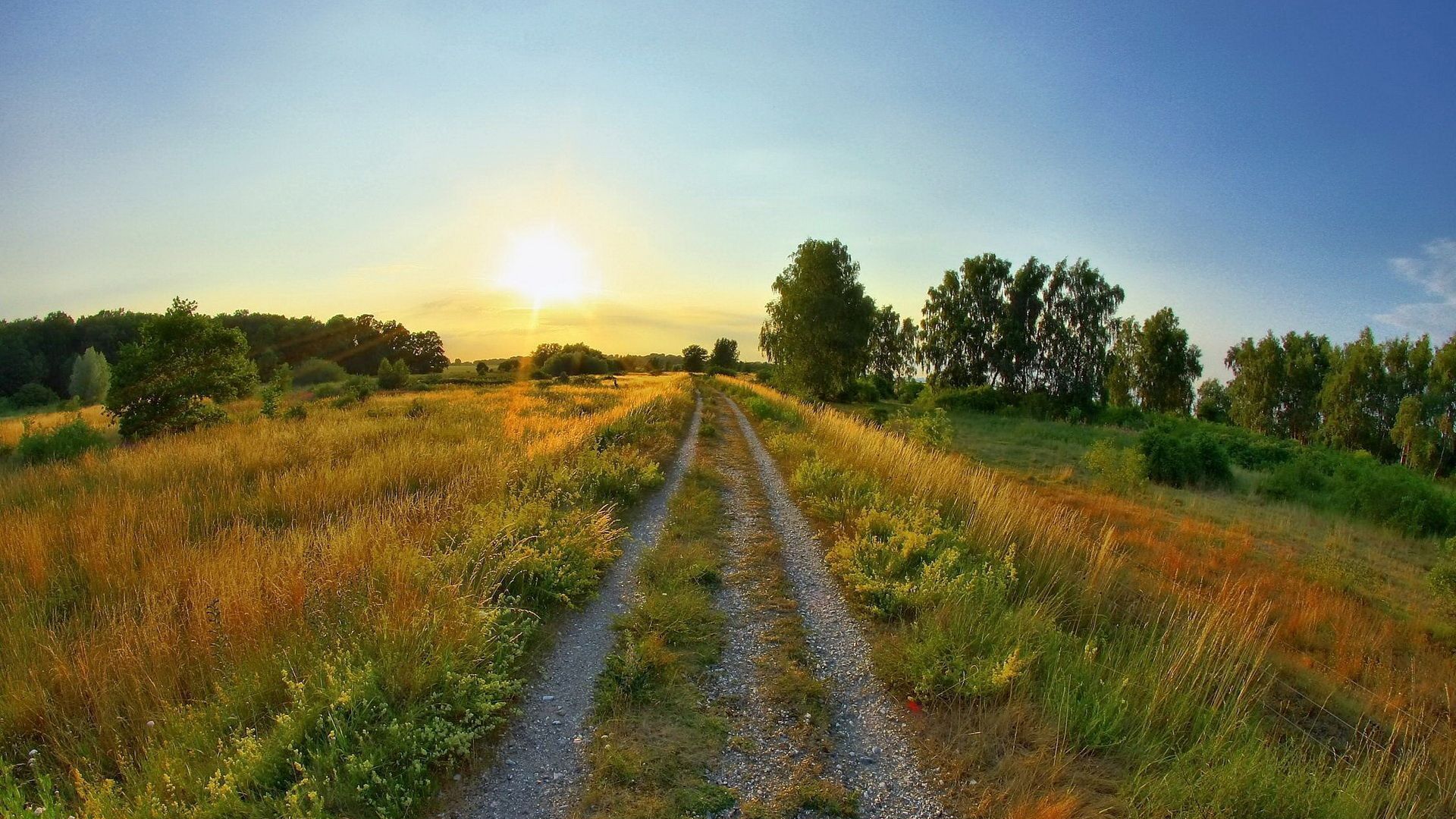 поле, природа, добавил