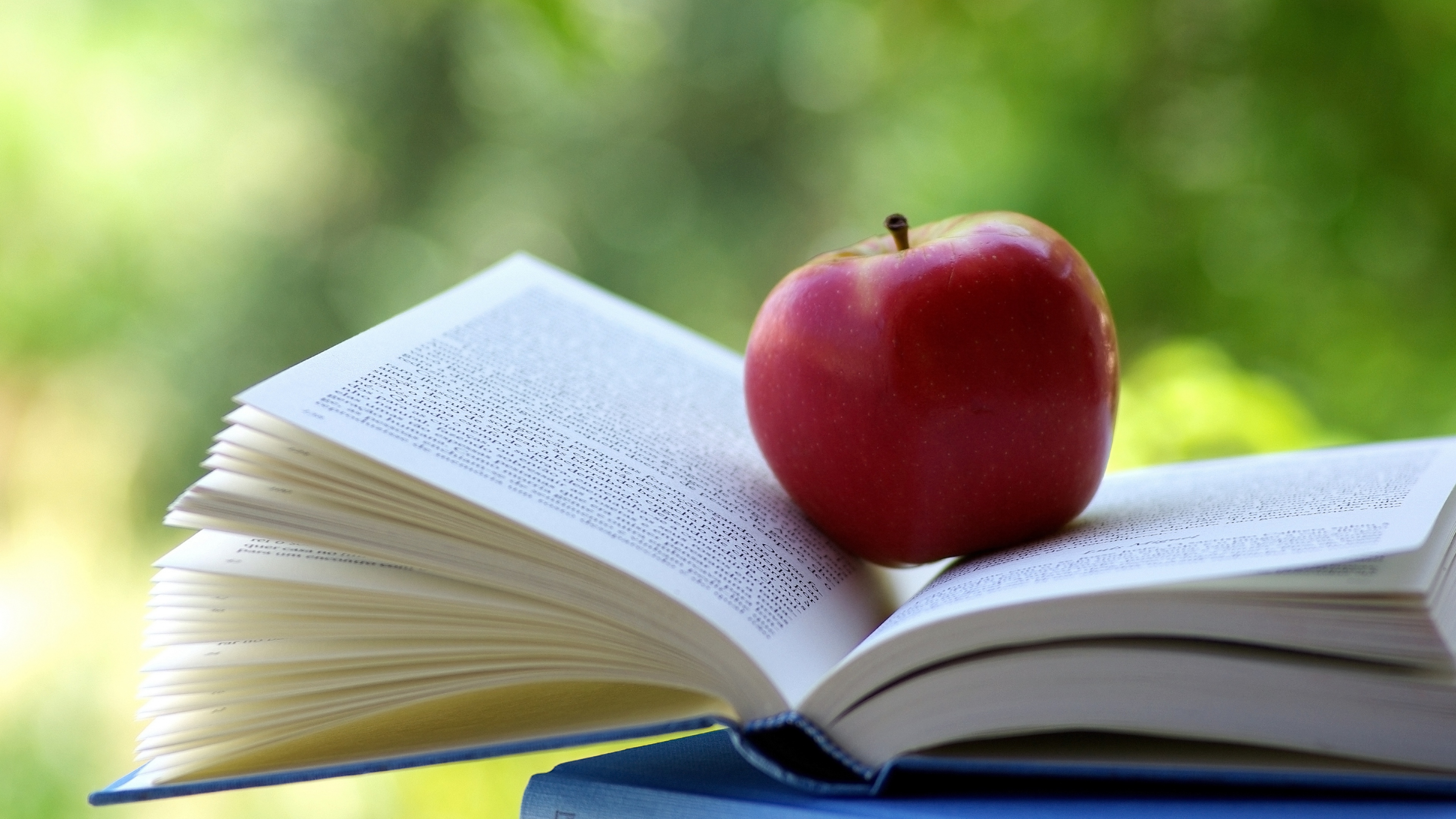 яблоко, книга, плод