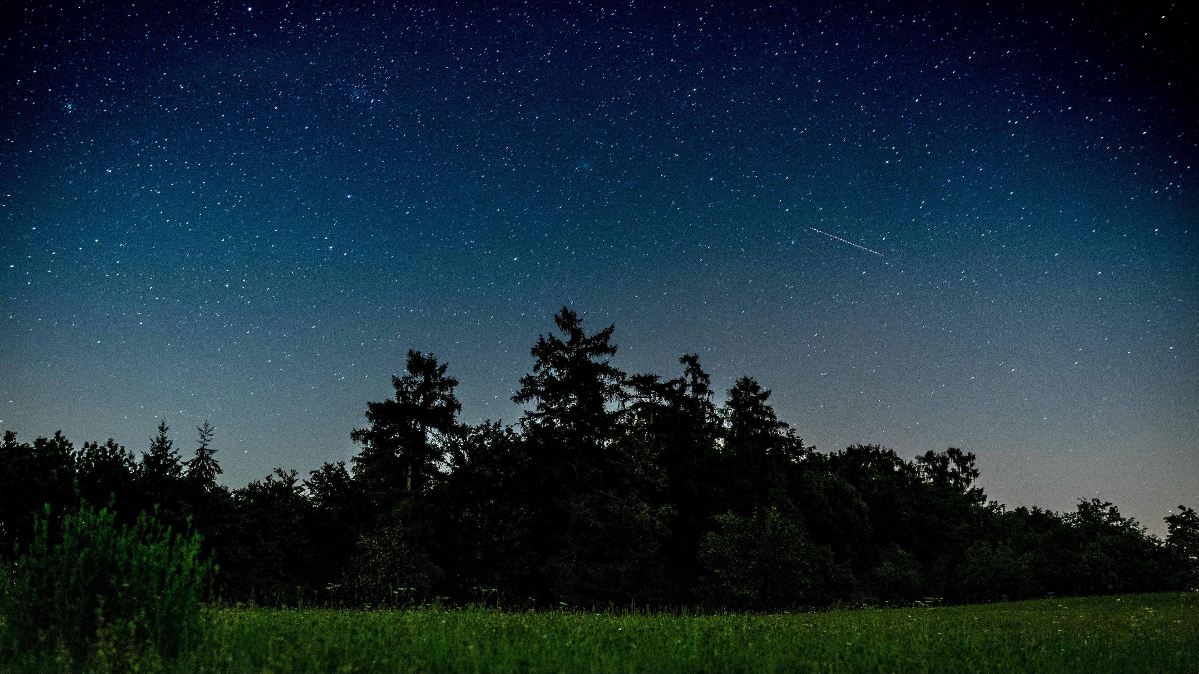 ночь, небо, поле