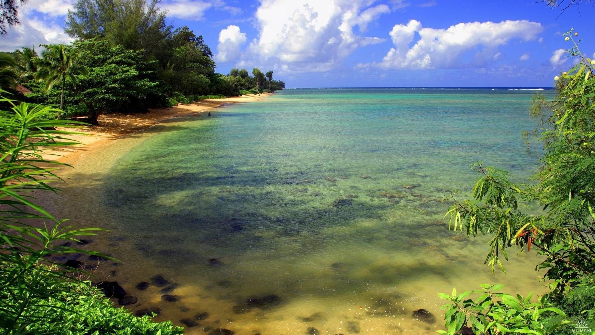 Beach Shade, Moloaa, Kauai, Hawaii без смс