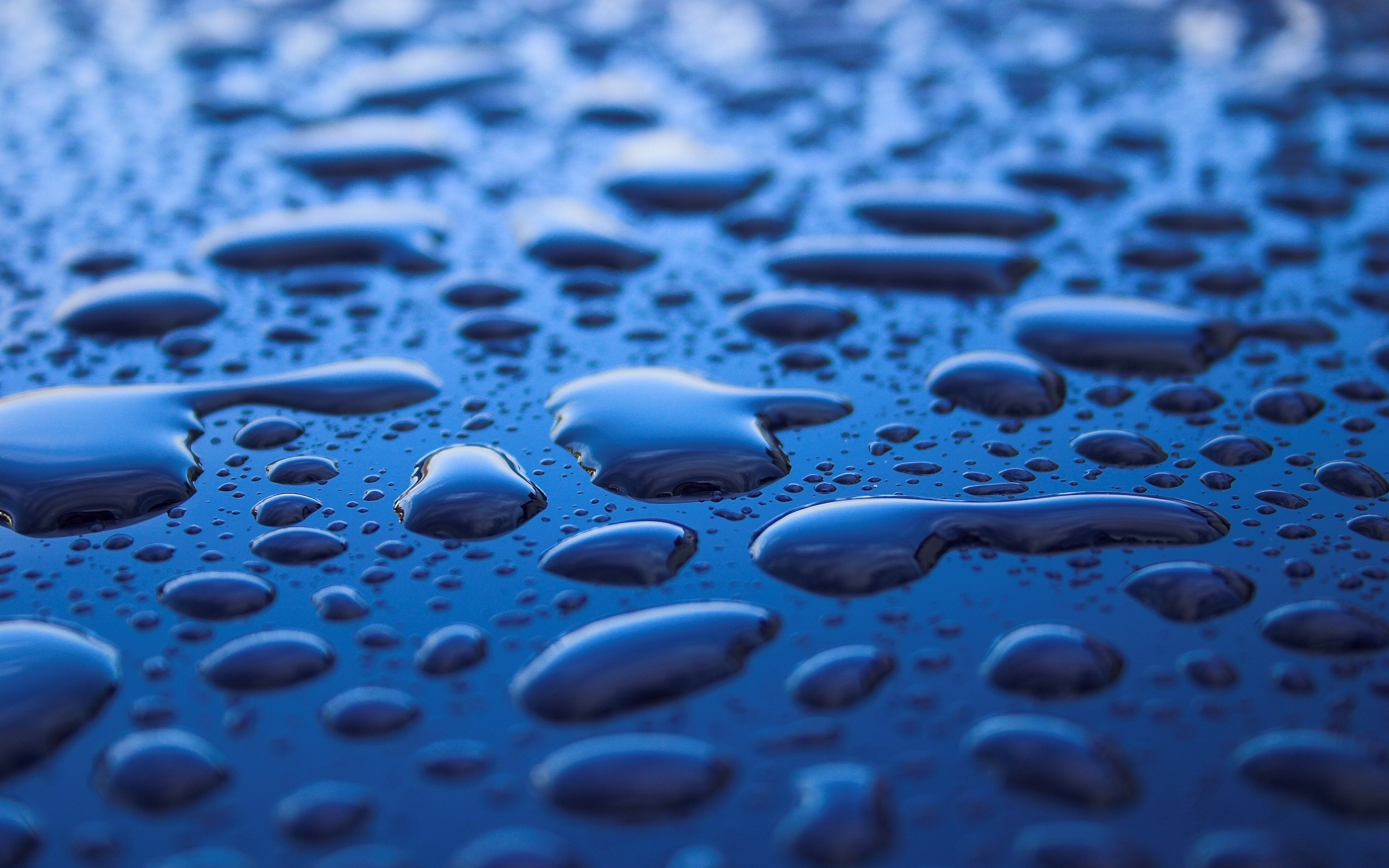 water, pexel, фото