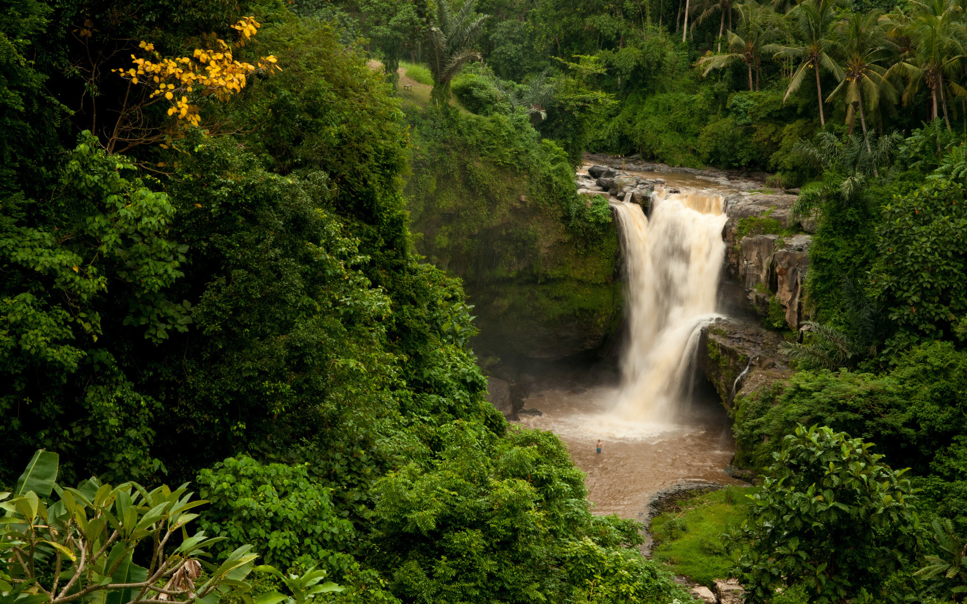 bali, oir